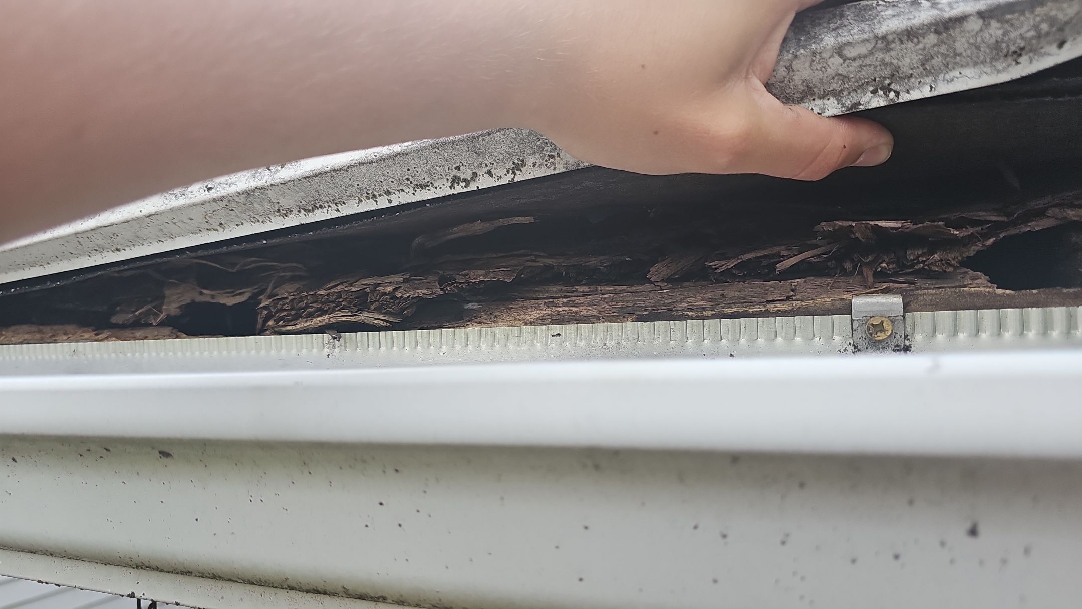 ATLAS PINNACLE COLOR: MORNING HARVEST DRIP EDGE: MUSKET BROWN by Eagle Eye Roofing