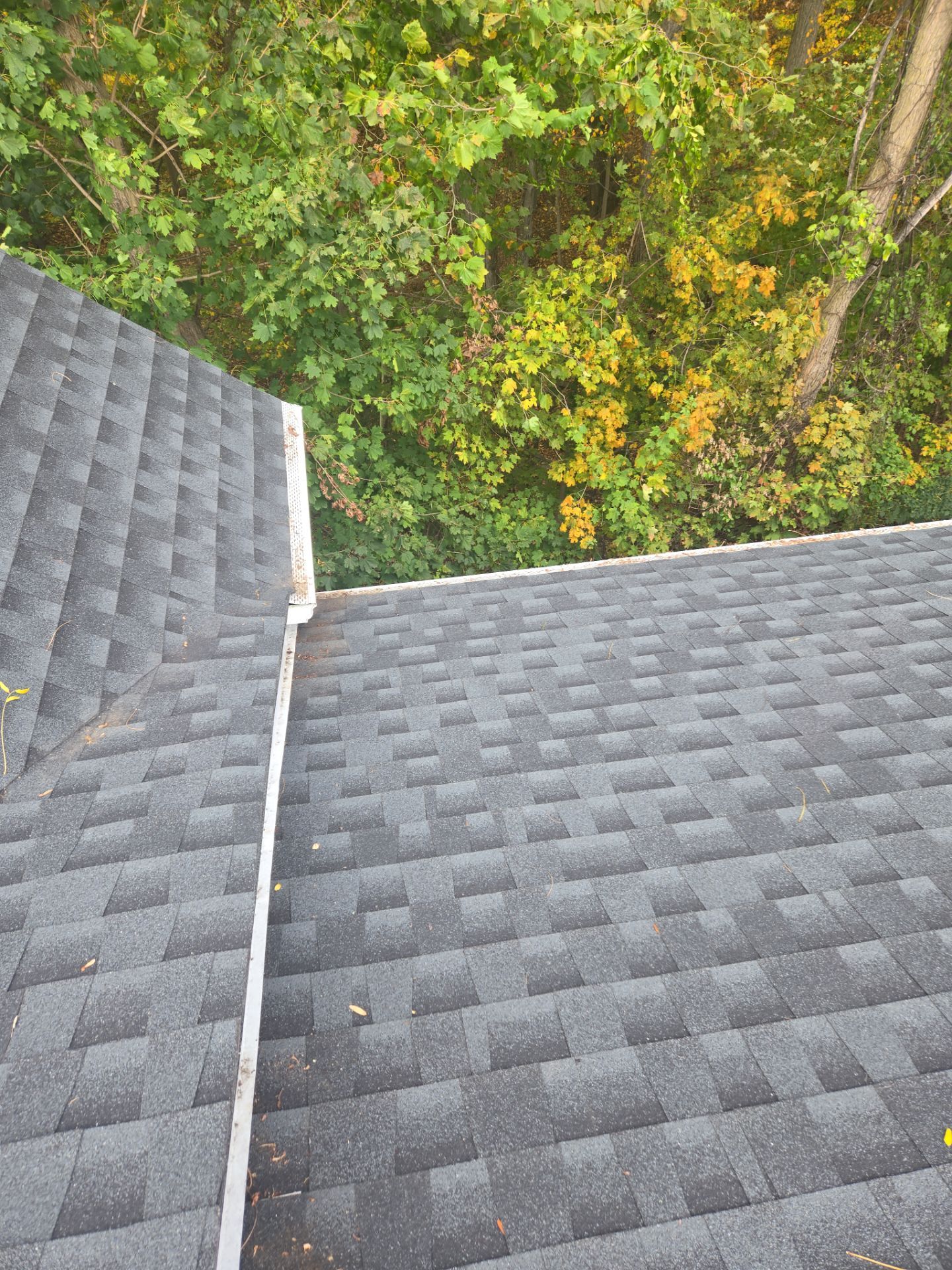 Commercial gutter cleaning New York city after photo with clean gutters