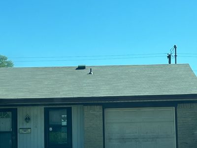 Project in Dallas