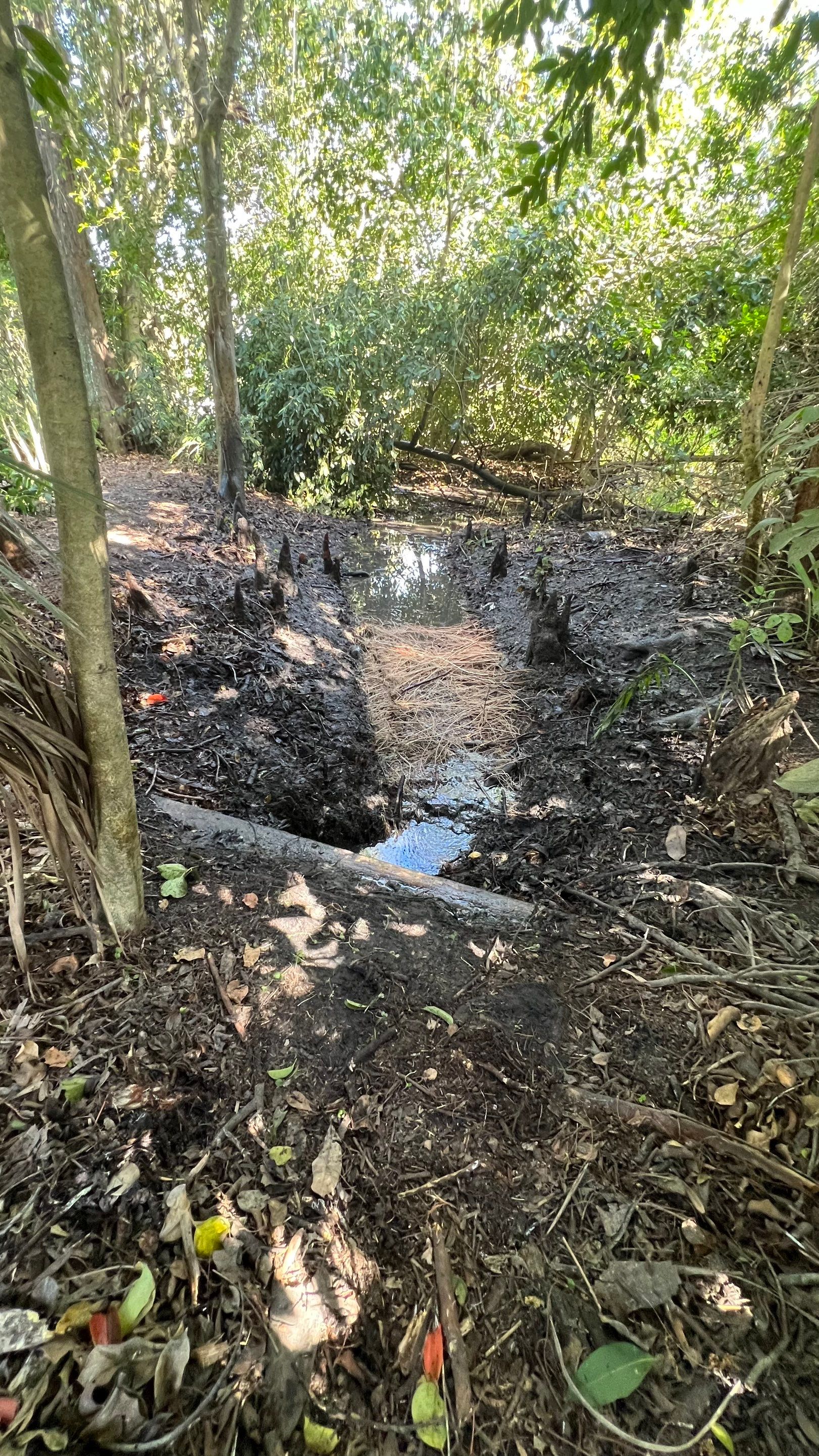 Naples Community Storm Water System Maintenance by Don Mar, Inc. Storm Water Solutions
