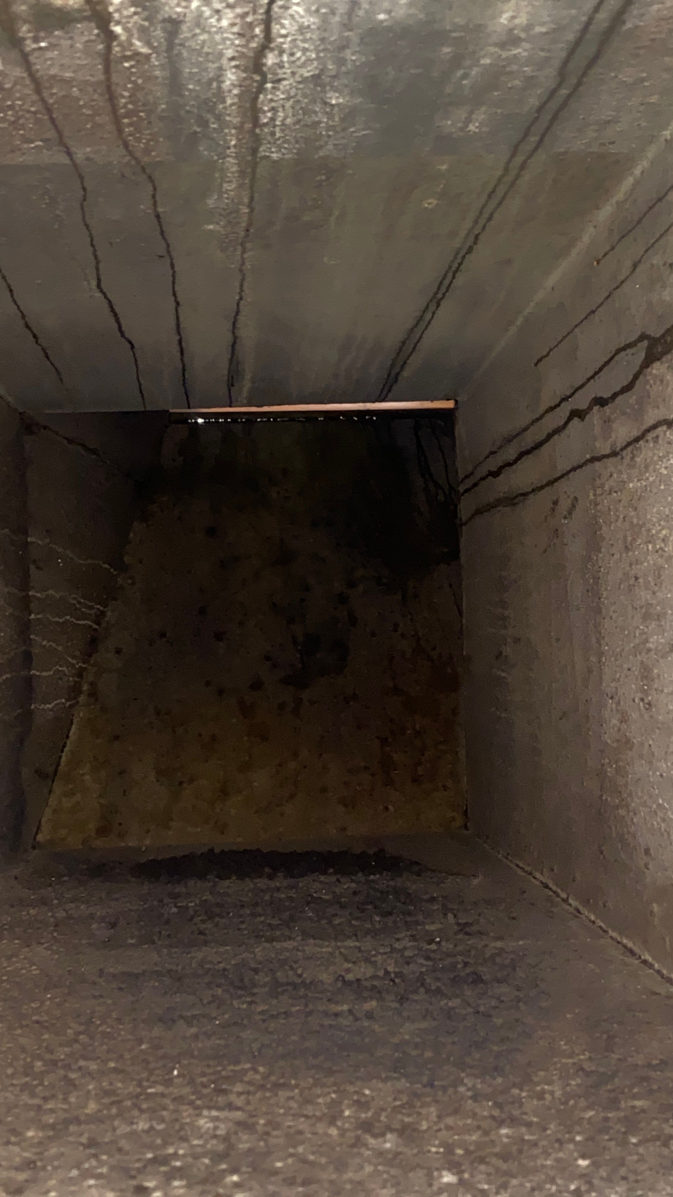 wrfererg by Crenshaw Hoods