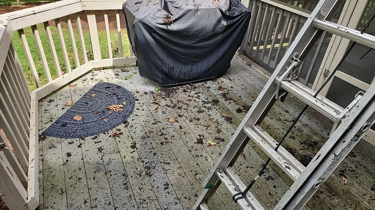 House Wash using cleaner by Power Wash Masters LLC