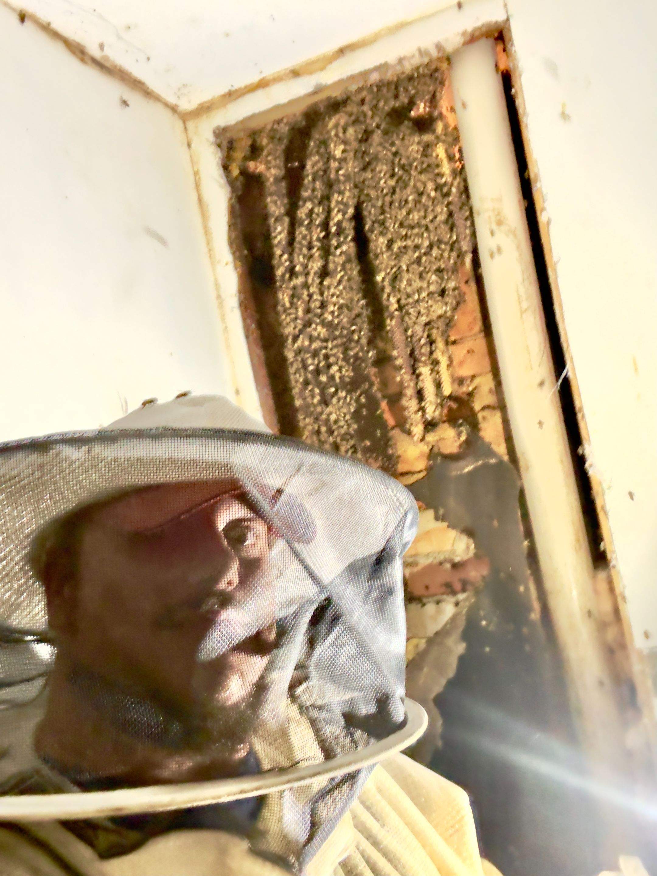 Improper Repair by Rockwall Honey Bee Company