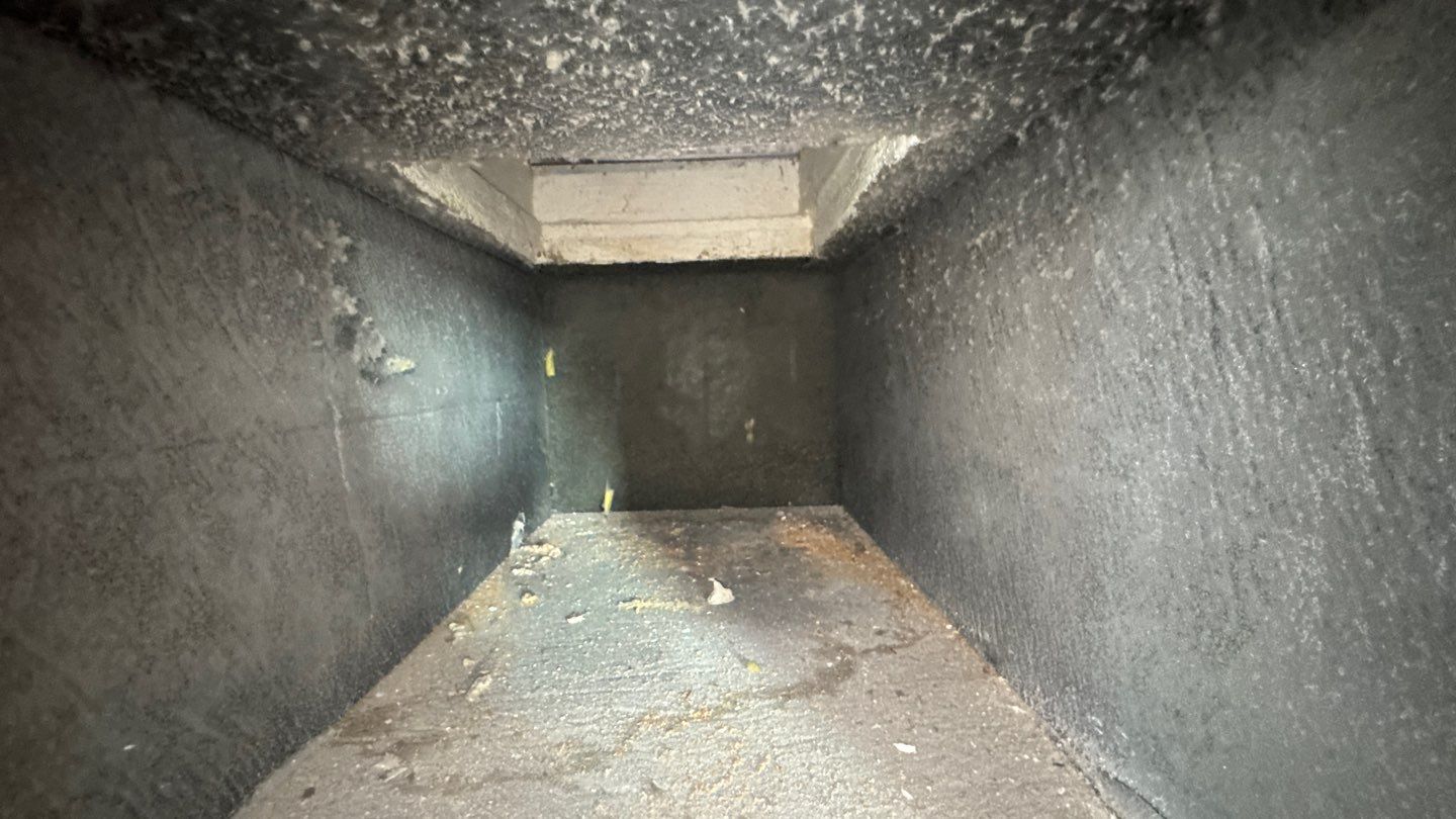 Air Duct Cleaning in Minneola by Hygienic Air, Inc