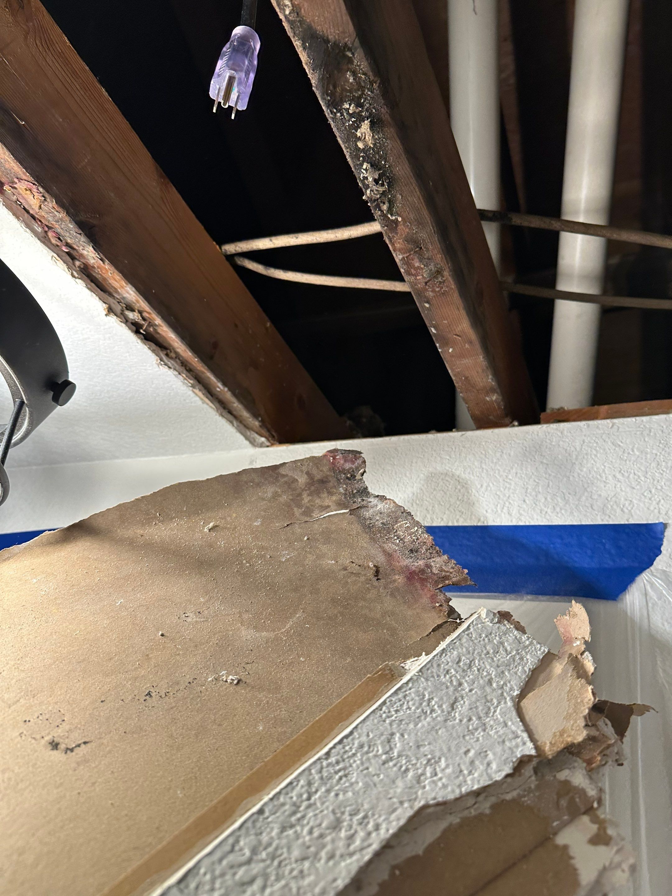 Mold in Crawl Space in Broomfiled, CO by Alpha Restoration 