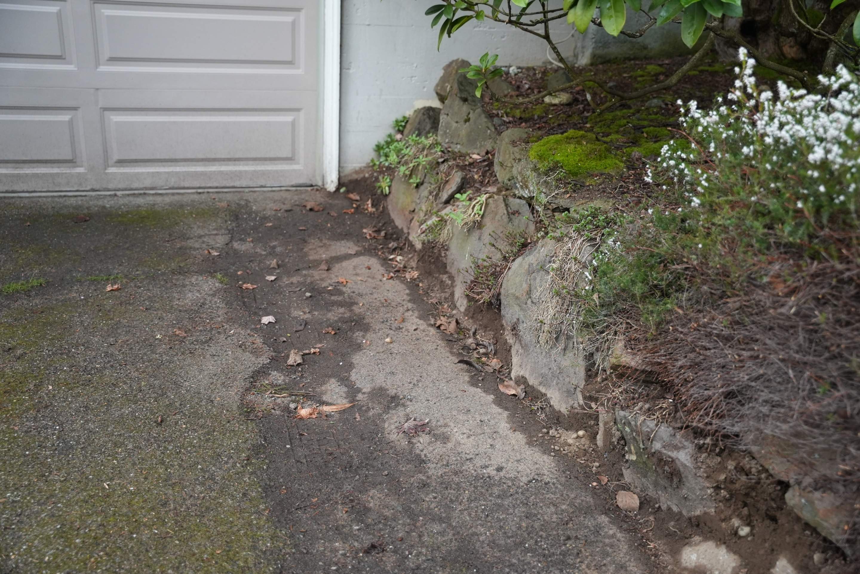 Pavers Driveway & Walkway with Concrete Lip | Seattle  by Jireh Asphalt & Concrete Inc 