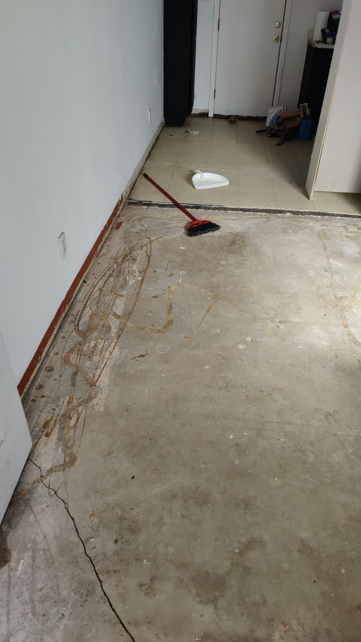 Mold Remediation by Accountable Home Services