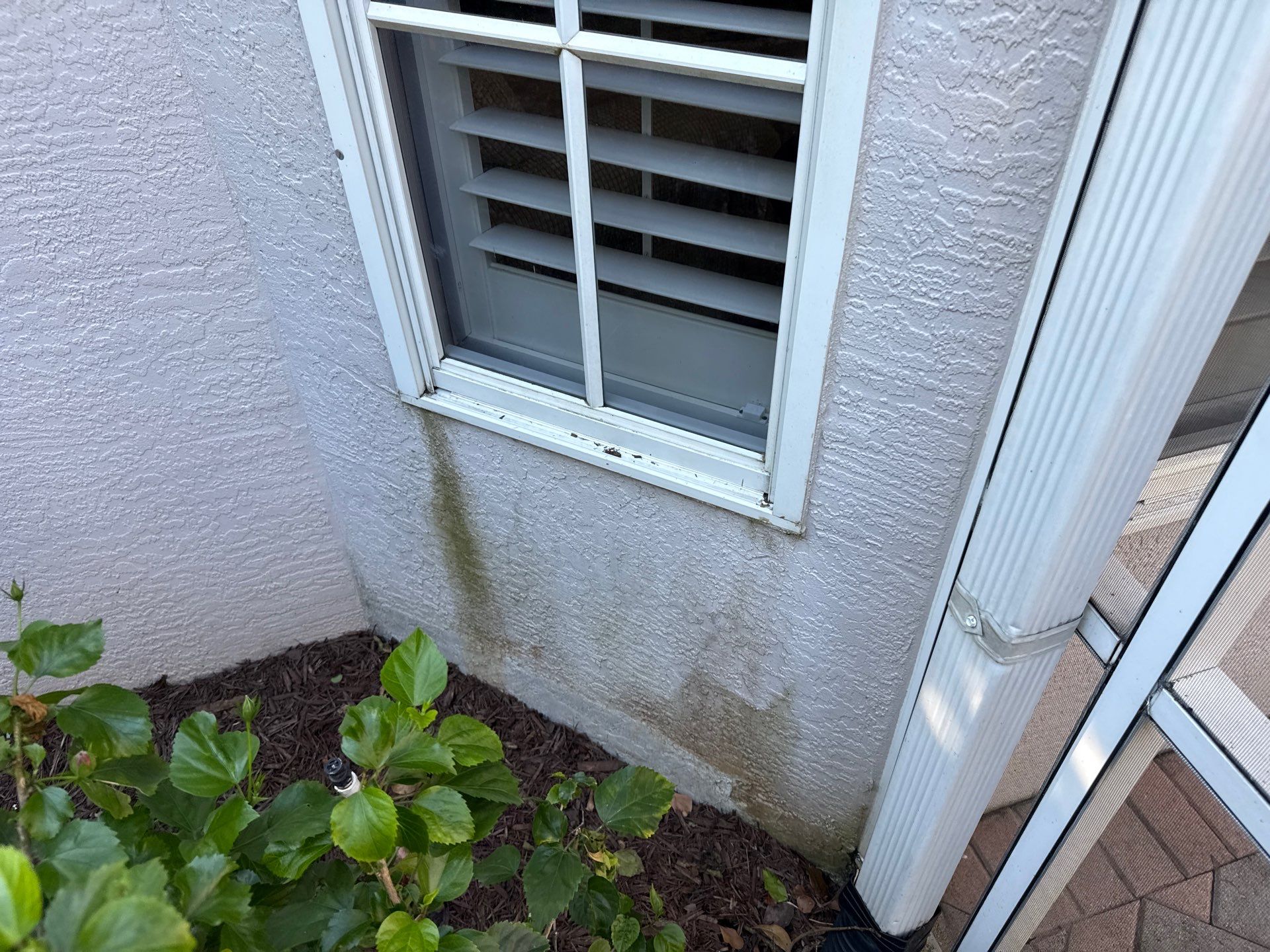 House Wash, Pool Deck & Screen Enclosure Cleaning | University Park, Sarasota FL by Sunshine AquaWash