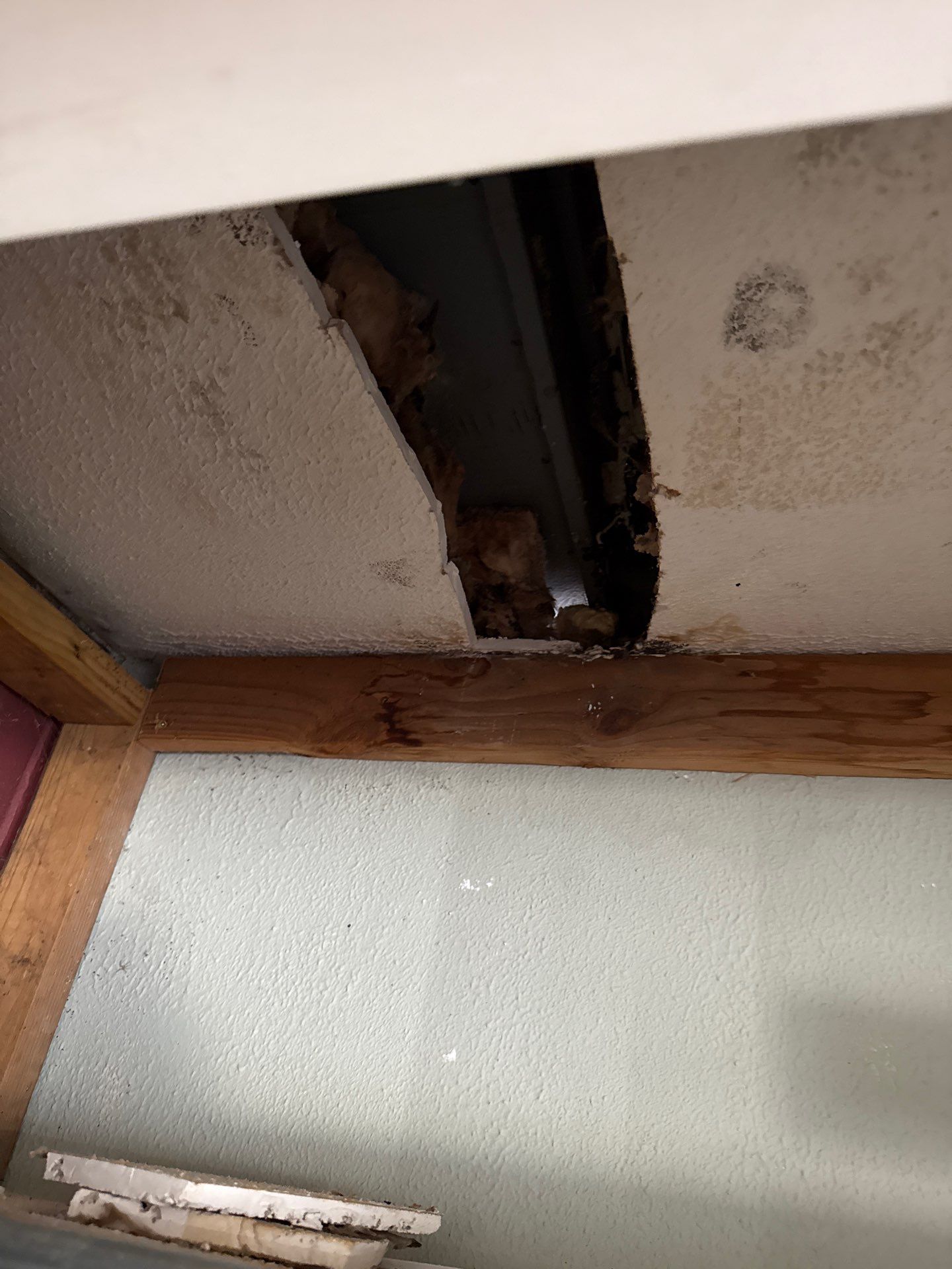 Replaced half roof. by In & Out Construction & Remodeling, LLC
