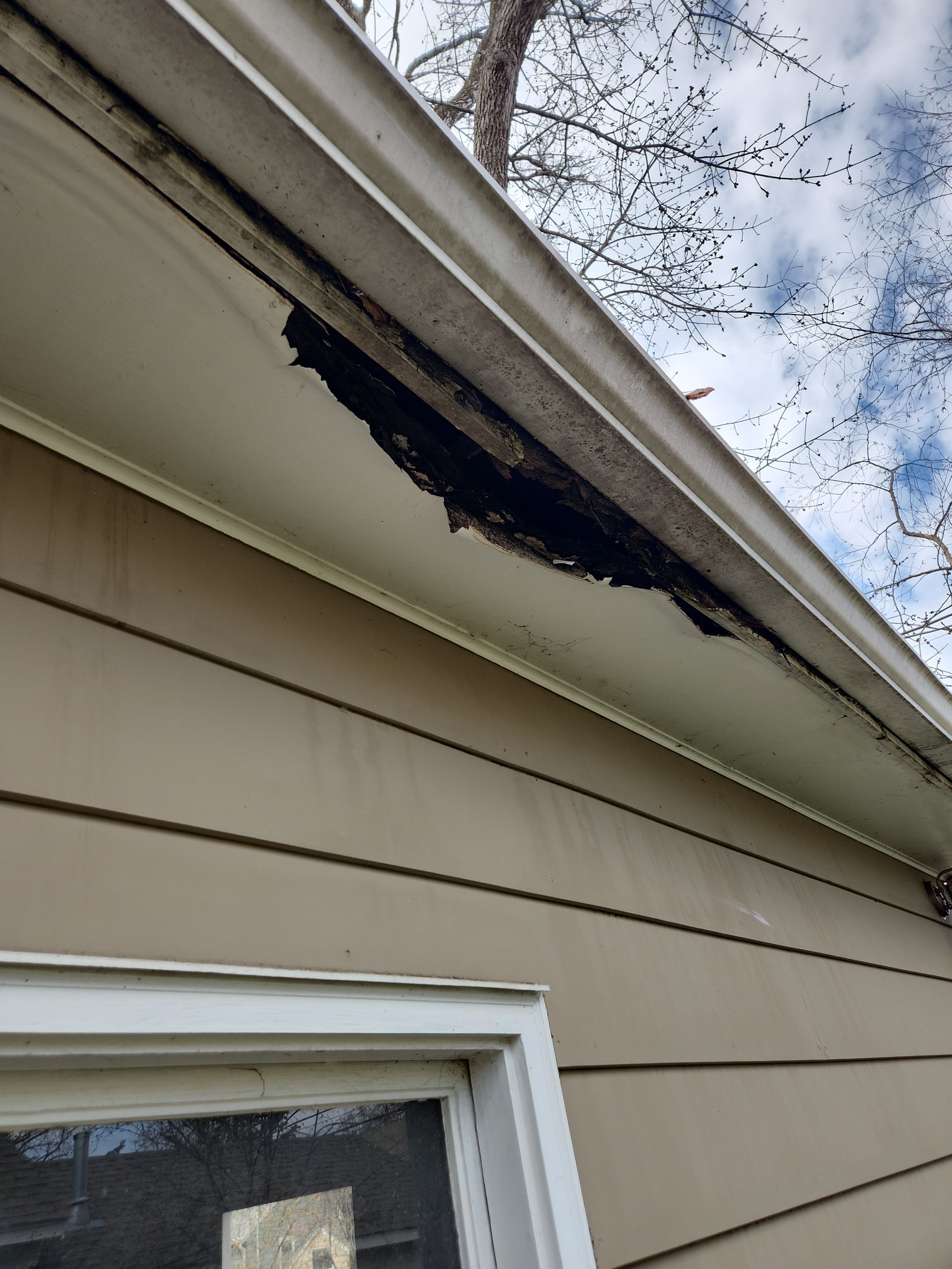 Soffit Repair + 5" Gutter Installation on Garage by Next Level Seamless Gutters / Exteriors Inc.