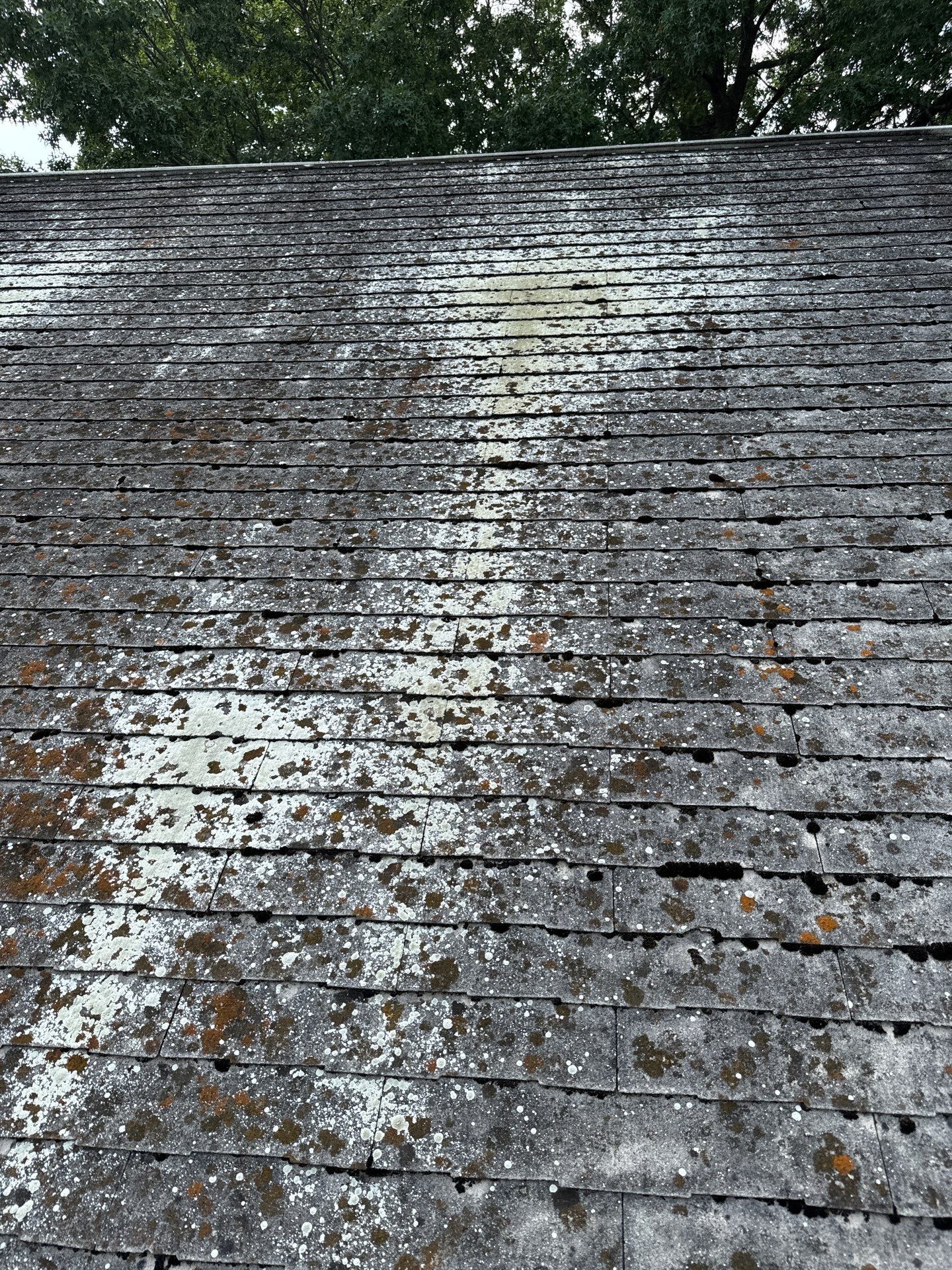Textured Bronze Roof and Flat Membrane Installation in Hershey by Esh Builders