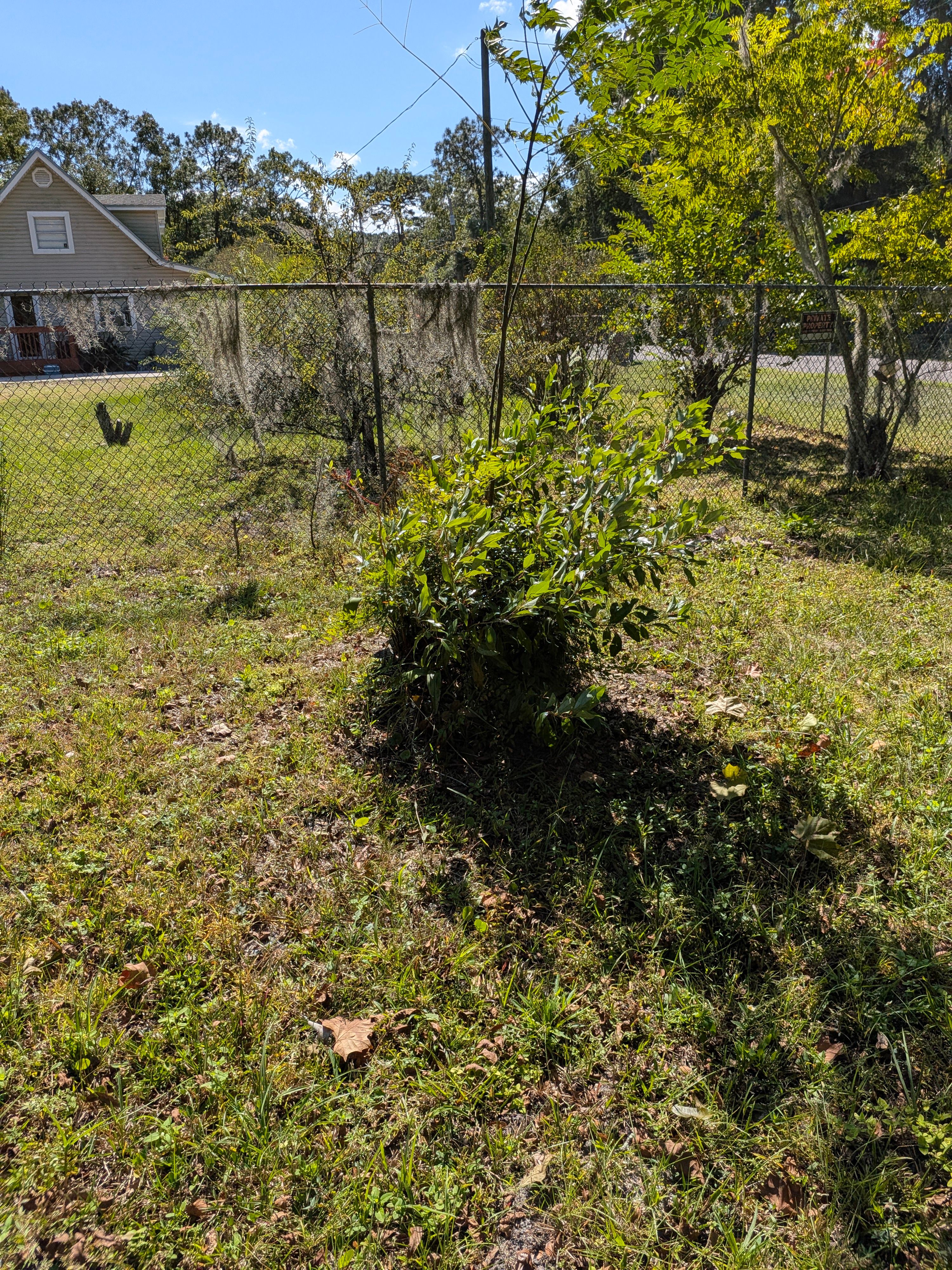 Vacant Lot Cleanup & Ongoing Maintenance — Northside Jacksonville (32219) by Harmoni Home Services