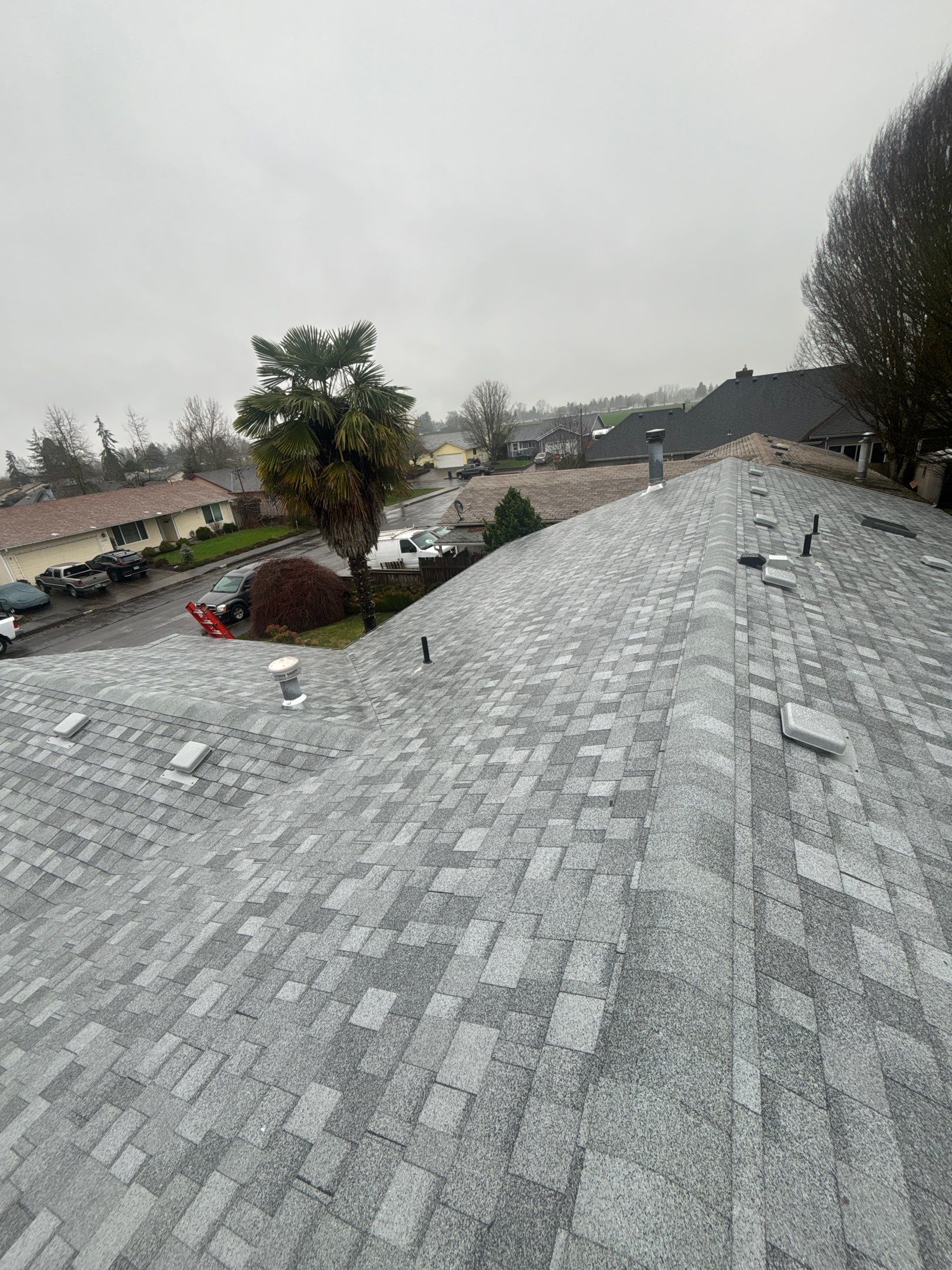 Residential Roofing Installation using IKO Dynasty (Color: Frostone Grey) by Orezona Building & Roofing Company, Inc.