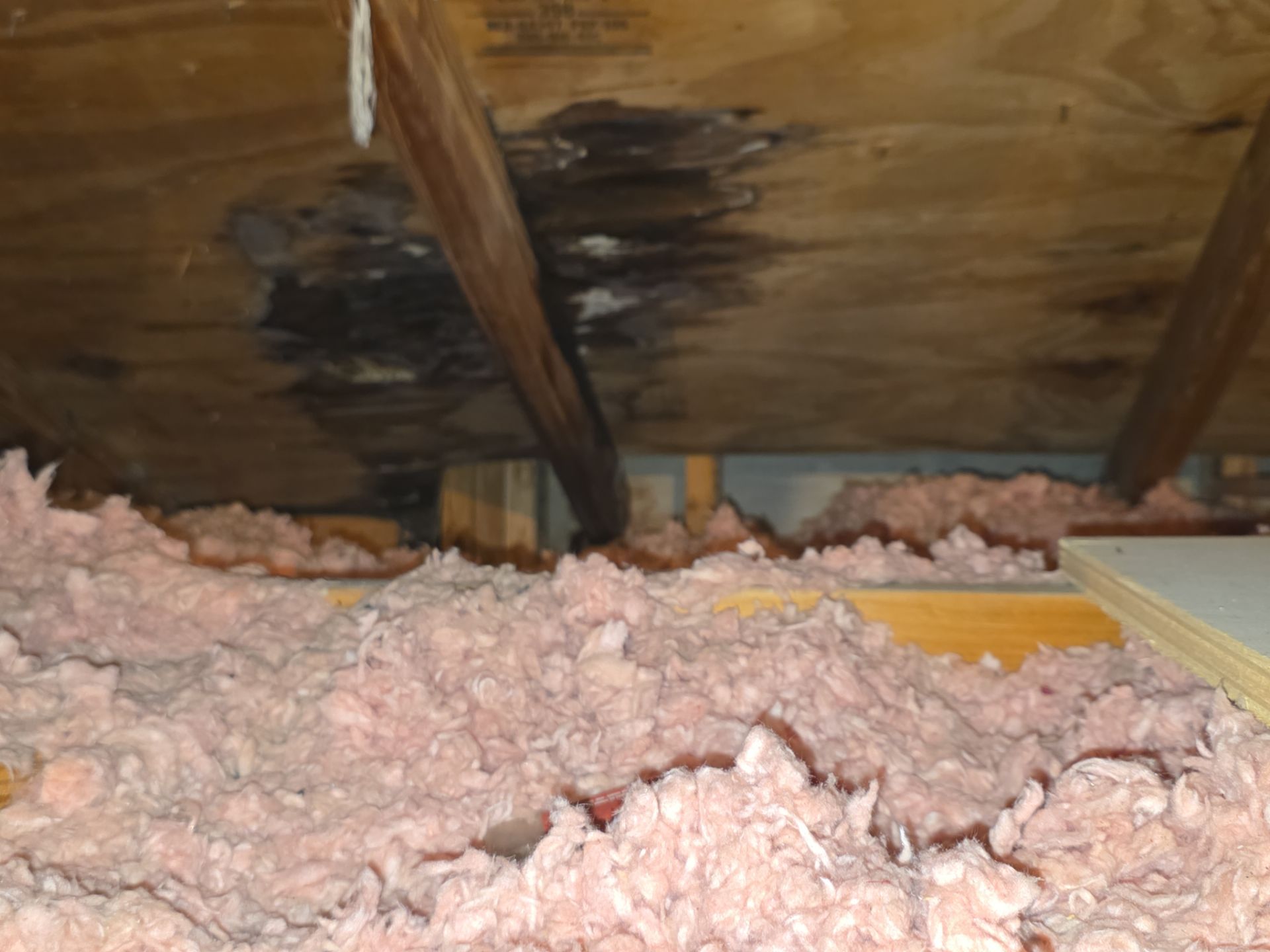 Concrete Tile Roof Repair and Fascia Replacement in Deerfield Beach by Aastro Roofing