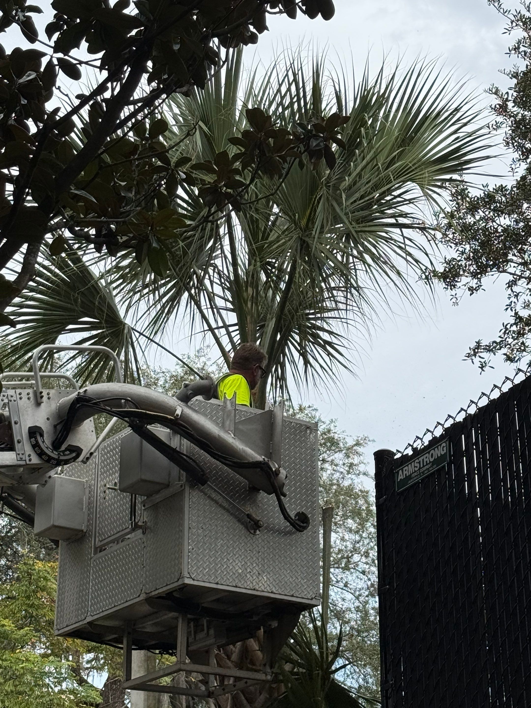 Volunteer Work | Episcopal High School of Jacksonville by ProGreen Services