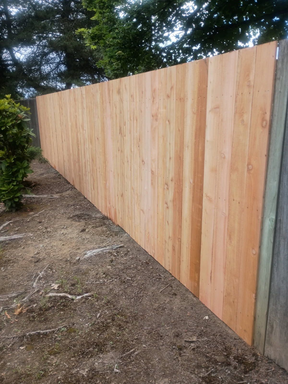Fence Repair — Additional Scope