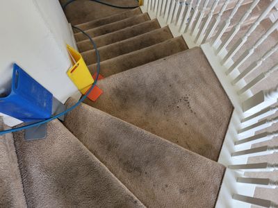 Cleaning Heavily Soiled Stairs and Entryway