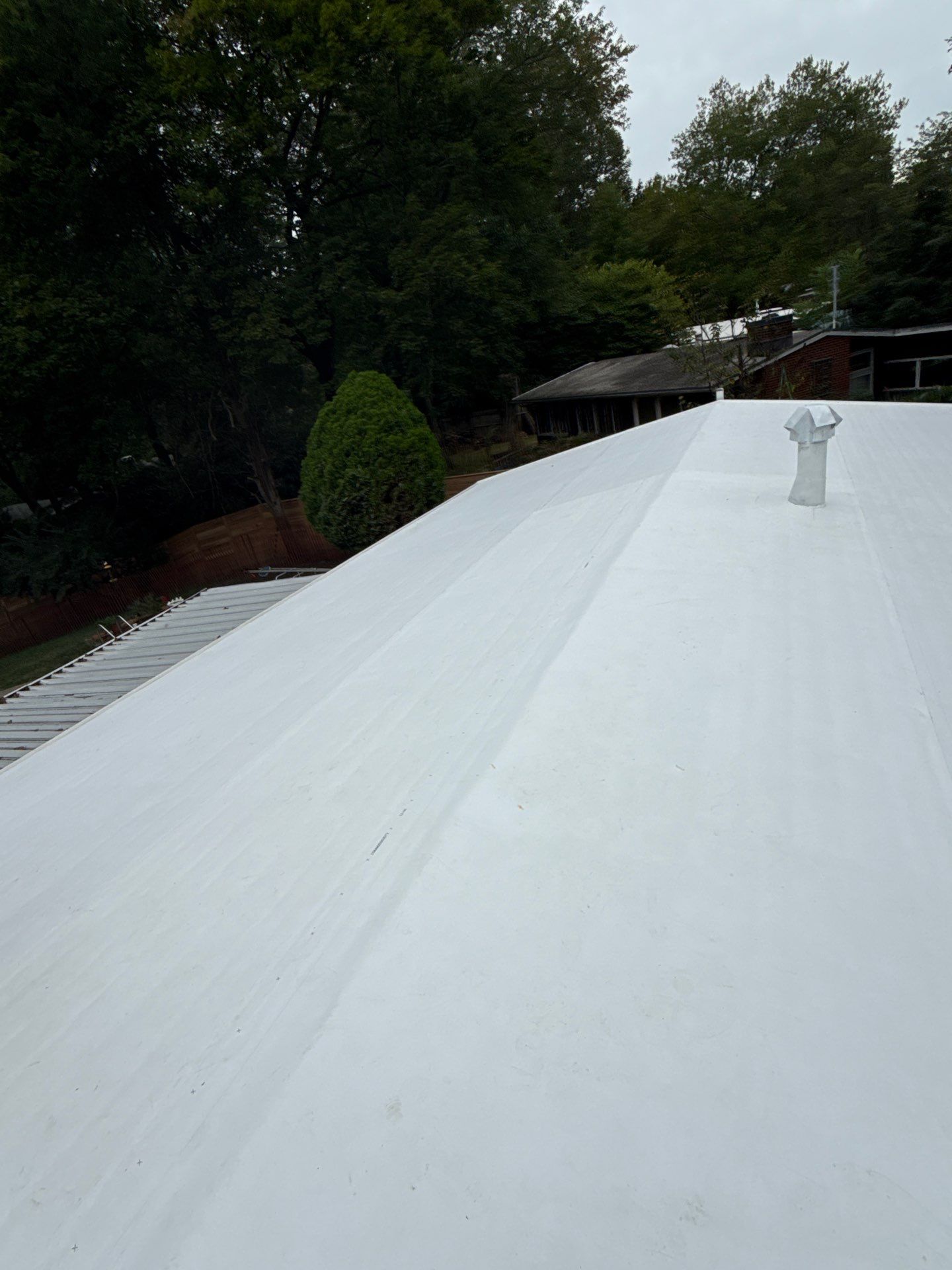 Falls Church :  TPO by RM Banning, Inc.