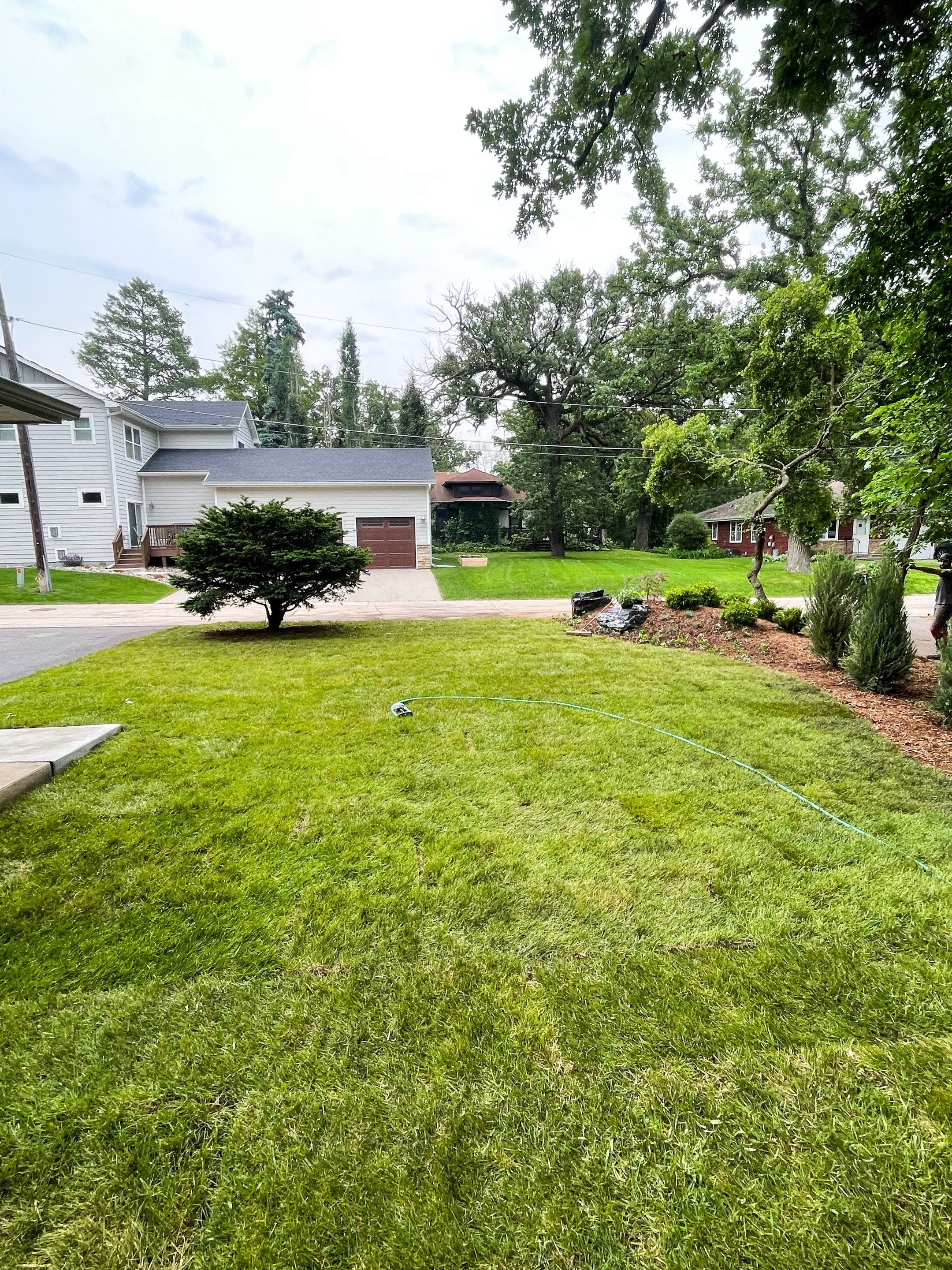Landscape Renovation by Sota landscaping