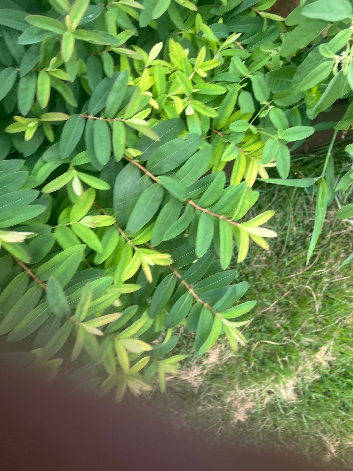 Project in Austin by Rhino Roofing and General Contracting, LLC