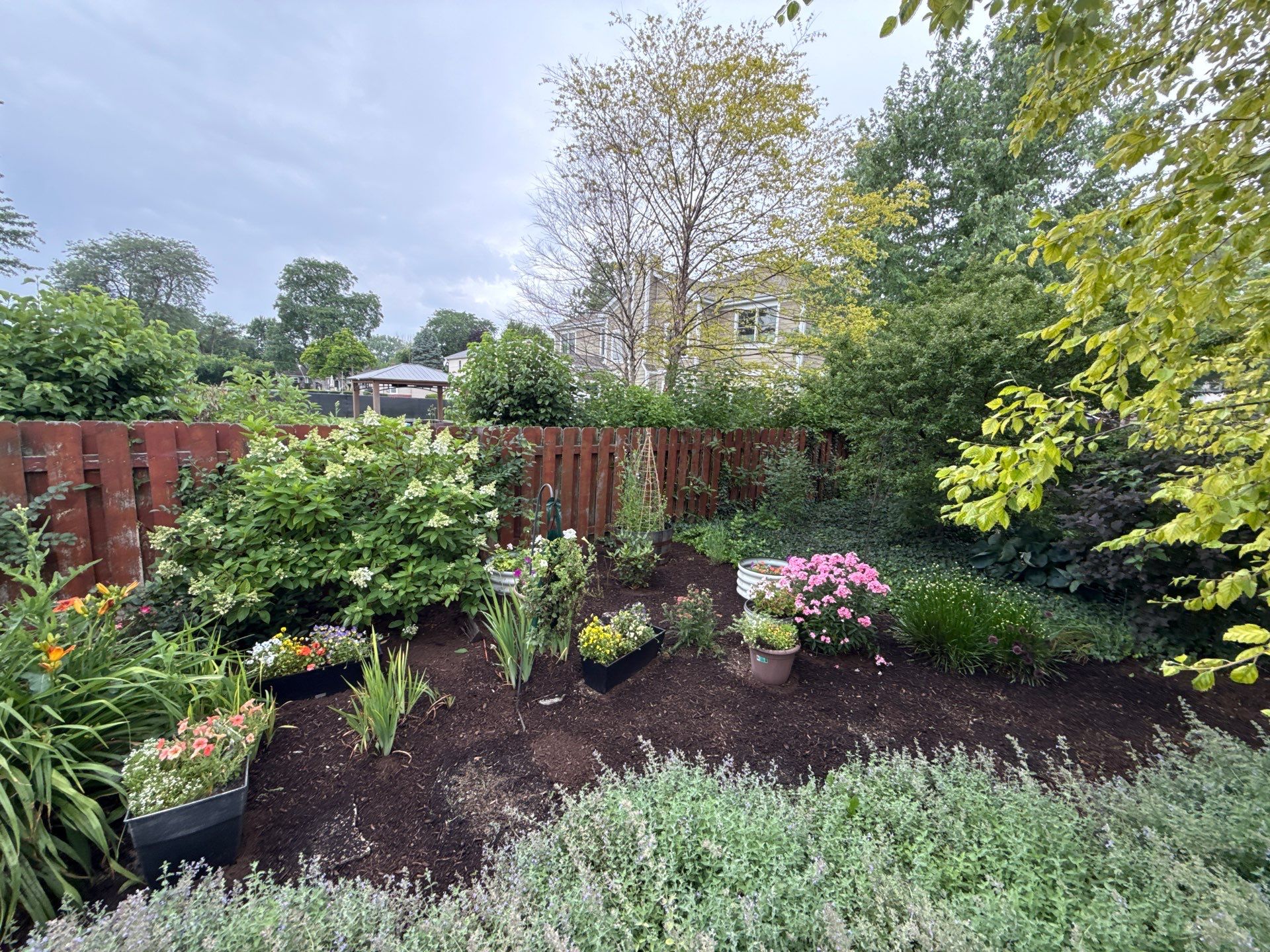 Rob M. - Arlington Heights, IL by A&N 