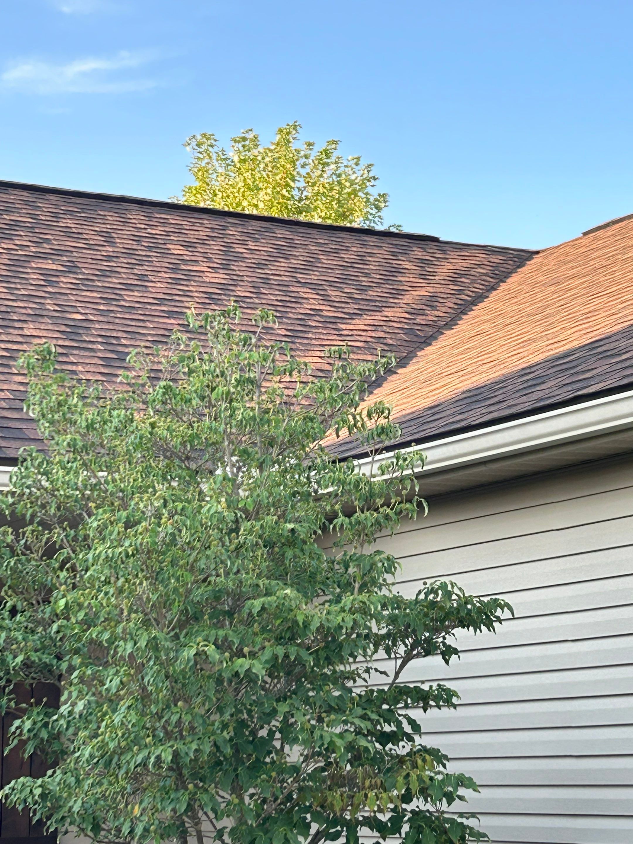 Jim Sayre by Silver Leaf Contracting 
