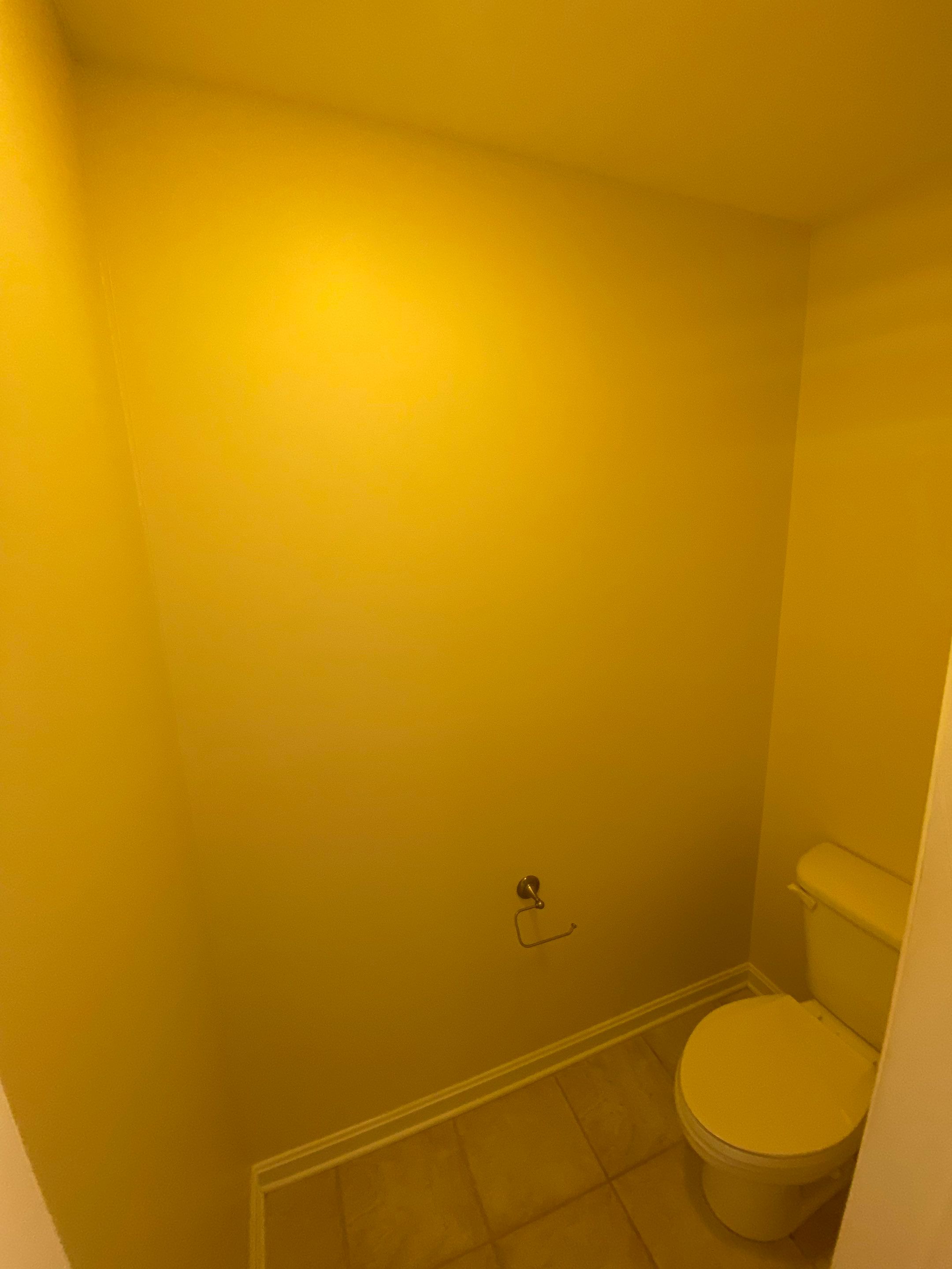 Whole Home Transformation by Davis Painting Llc 