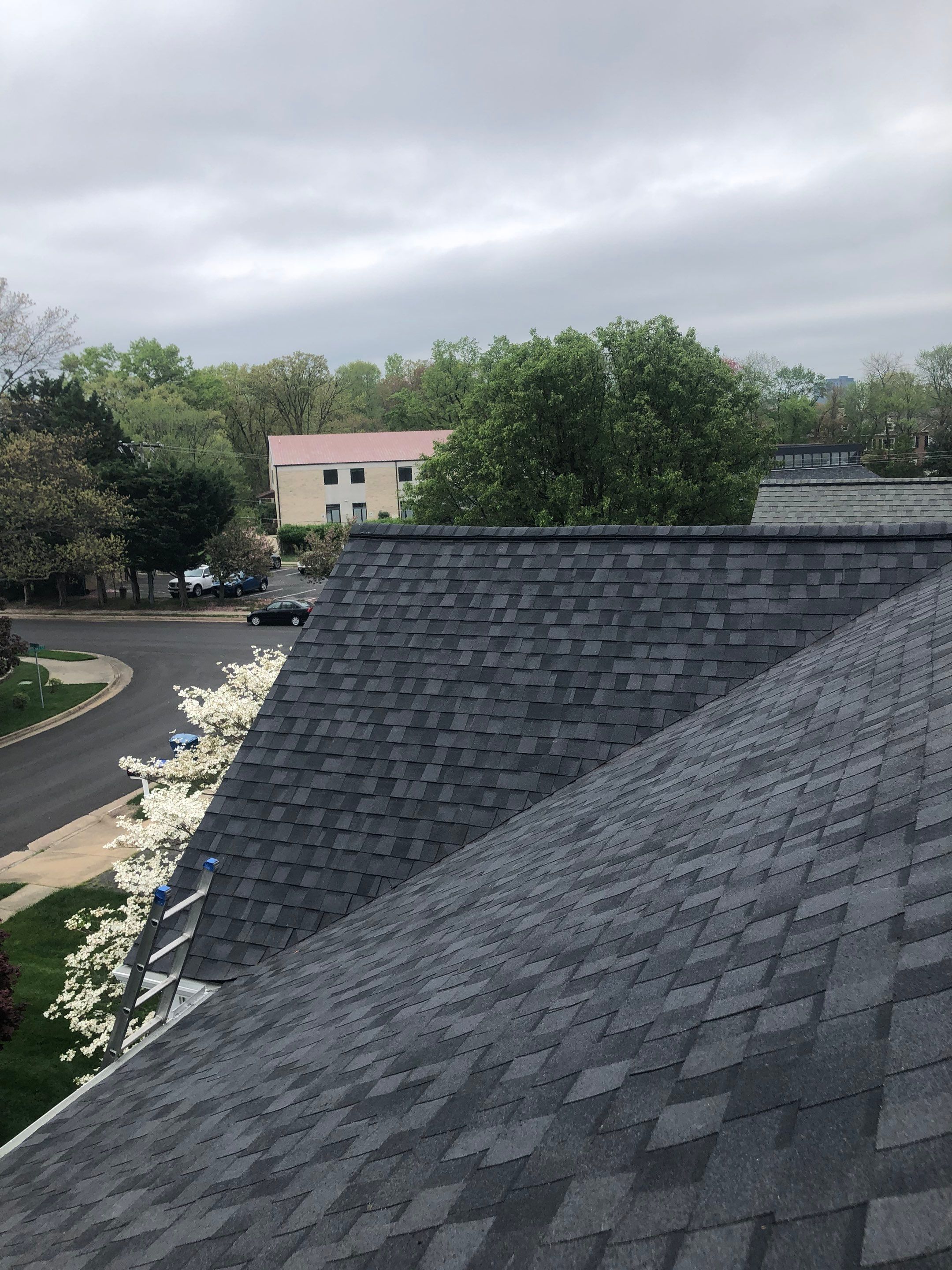 Vienna: CertainTeed Landmark Pro Designer Shingles in Max Def Moire Black by RM Banning, Inc.