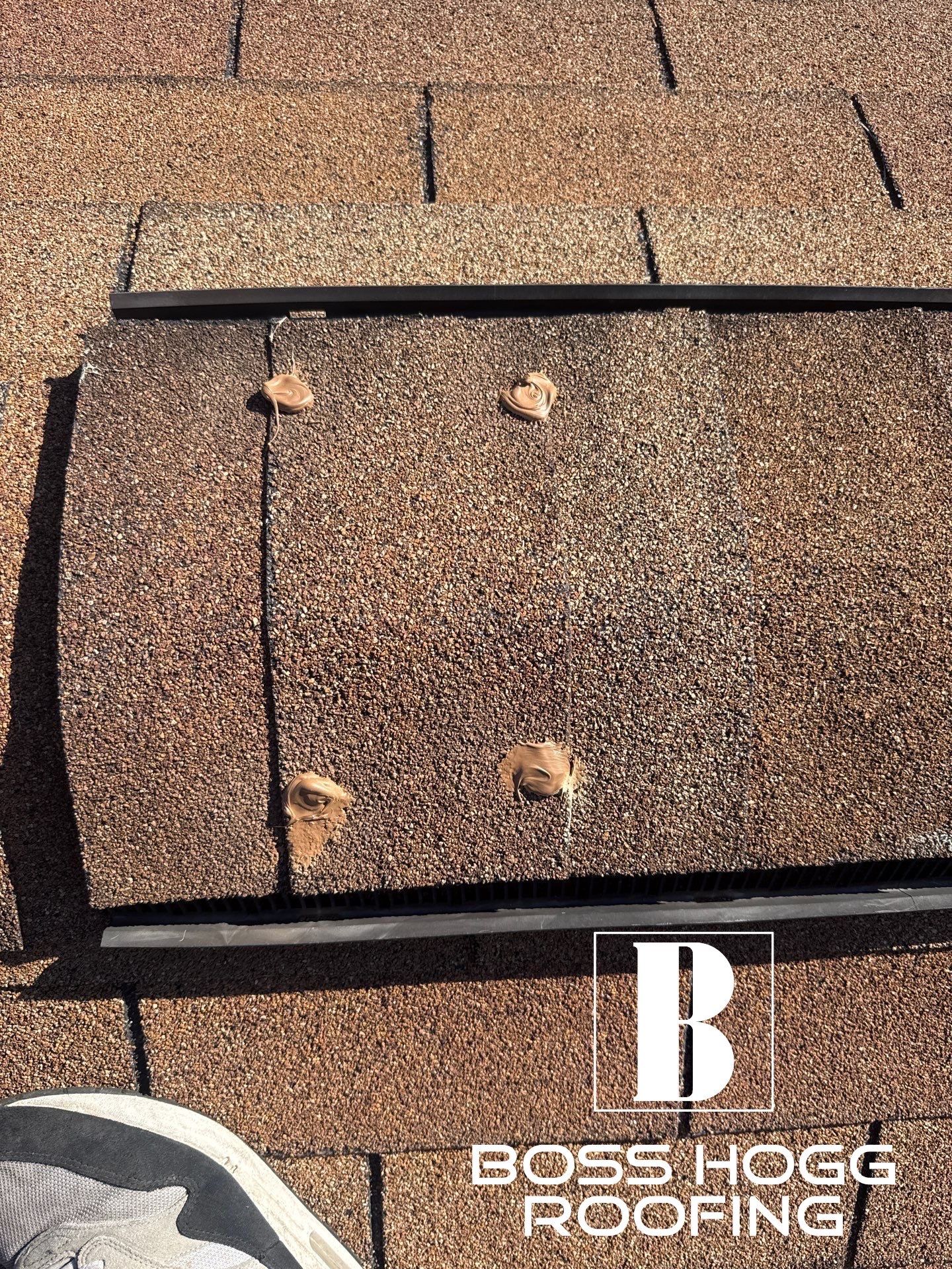 BARB C. by Boss Hogg Roofing