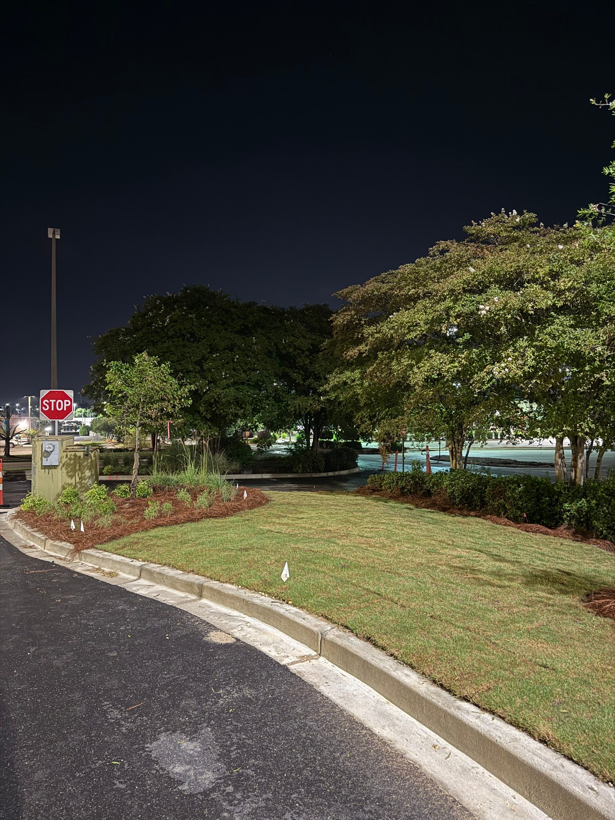FTB Haribson Bank Project Columbia SC - (Commercial) by Carolina-Metro Landscape, Inc