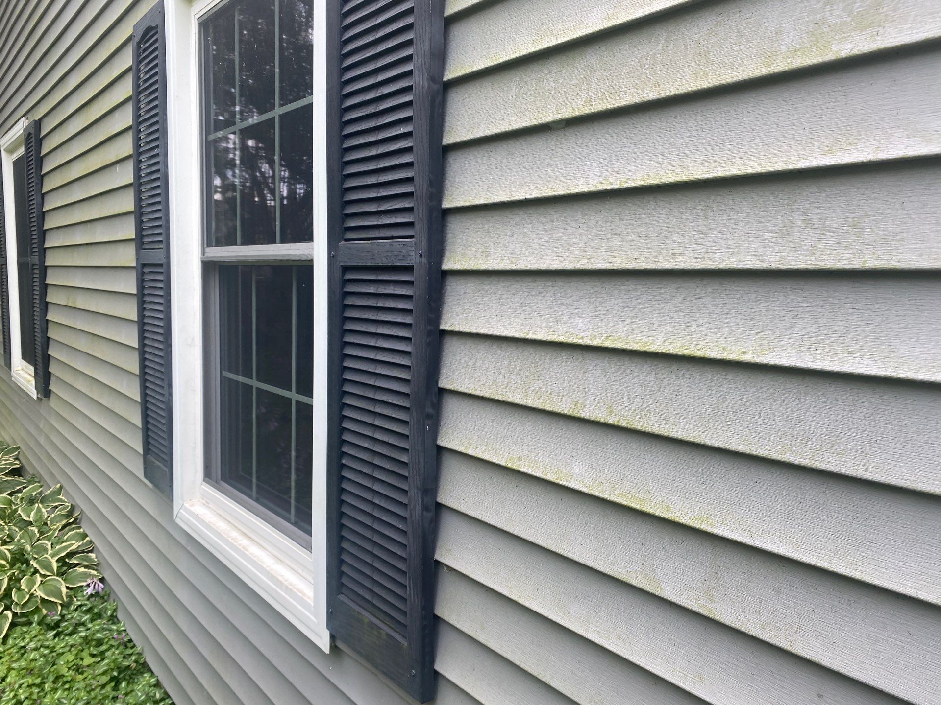 House wash and concrete cleaning by Shulla Exterior Cleaning