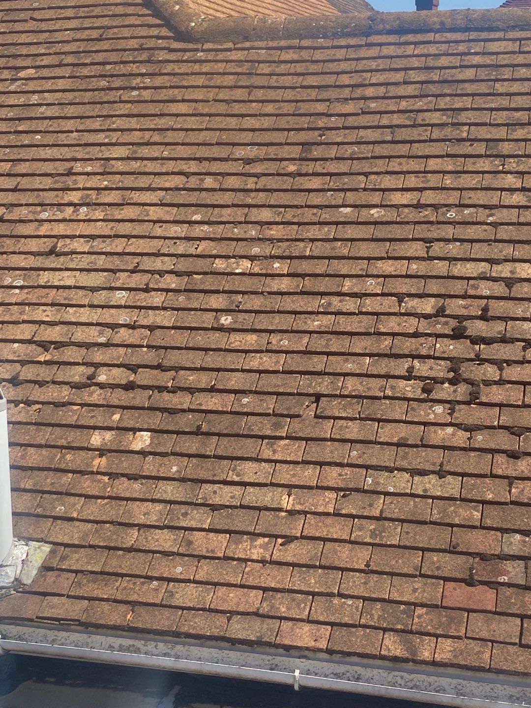 Roof Clean - Render Clean using Honda 15lpm Low Pressure Washing Machine by Ges Exterior Cleaning ltd