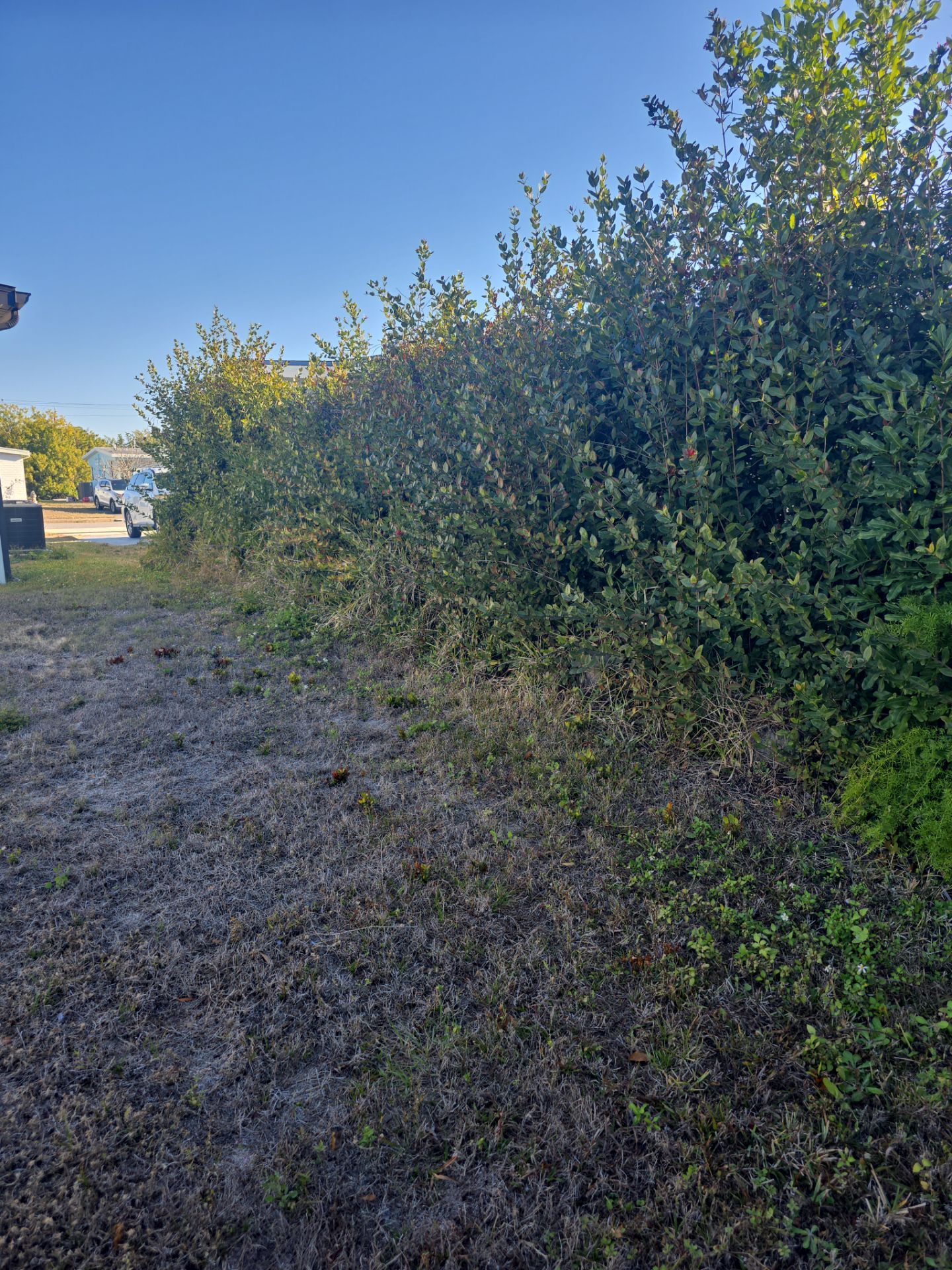 Custom Color Vinyl Fence in North Port by True Fence LLC