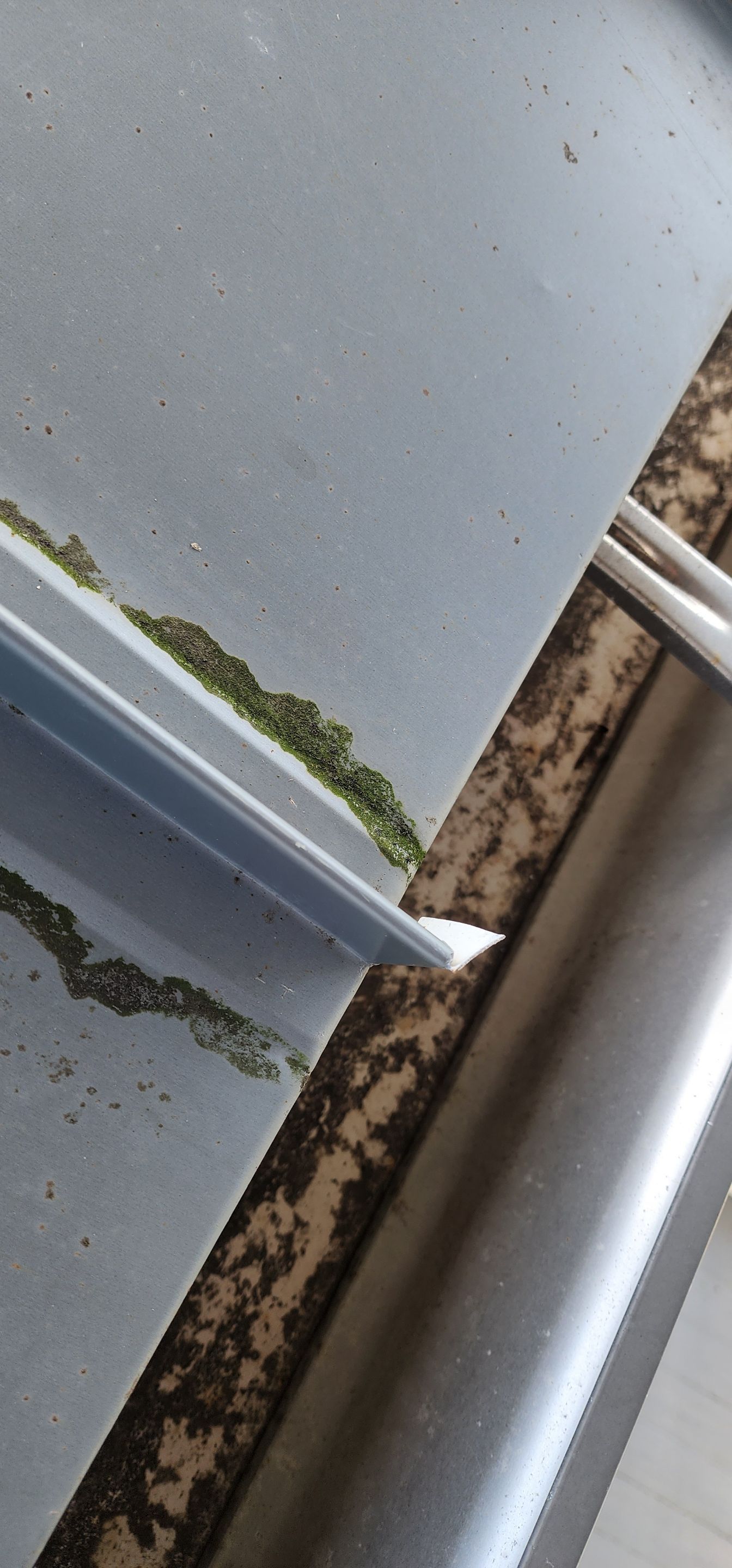 Project in Punta Gorda by Serene Construction