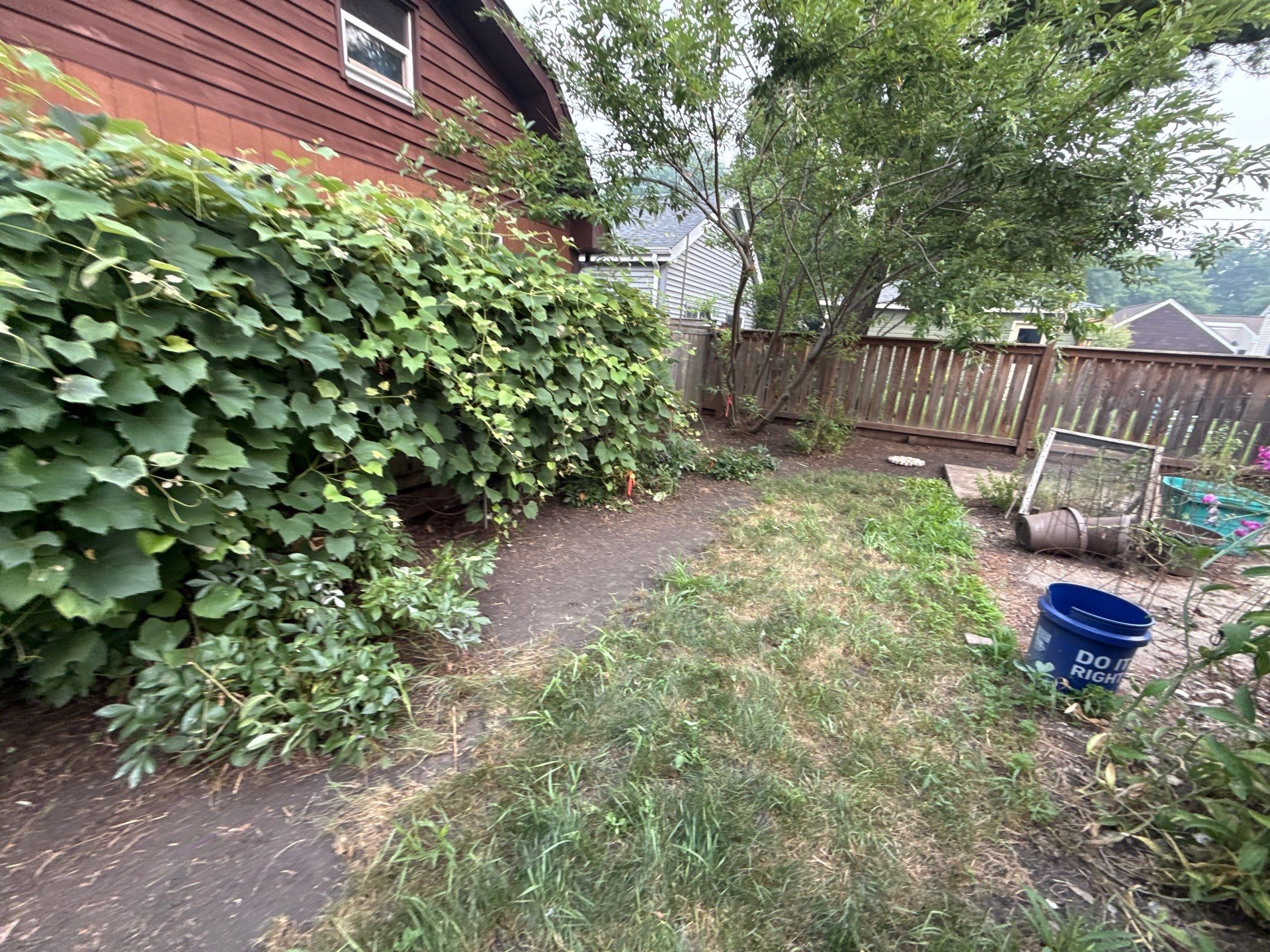 Donna L. - Arlington Heights, IL by A&N