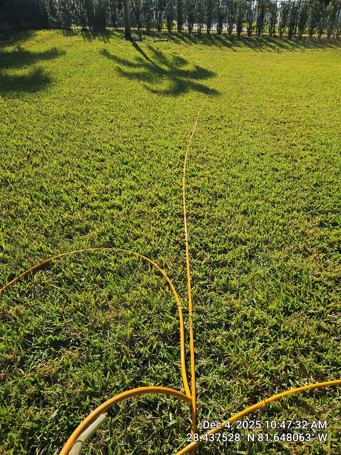 Lawn Doctor of Clermont - Windermere - Southwest Orlando featured photo.