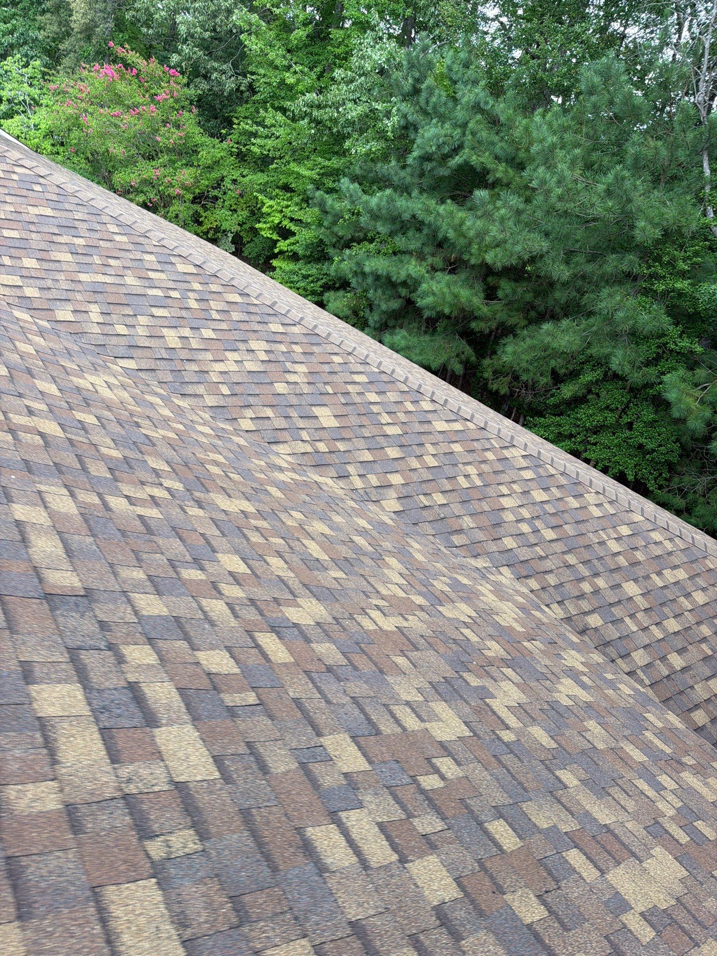 Comprehensive Asphalt Shingle Roof Replacement in Mathews, Virginia by Cade Construction