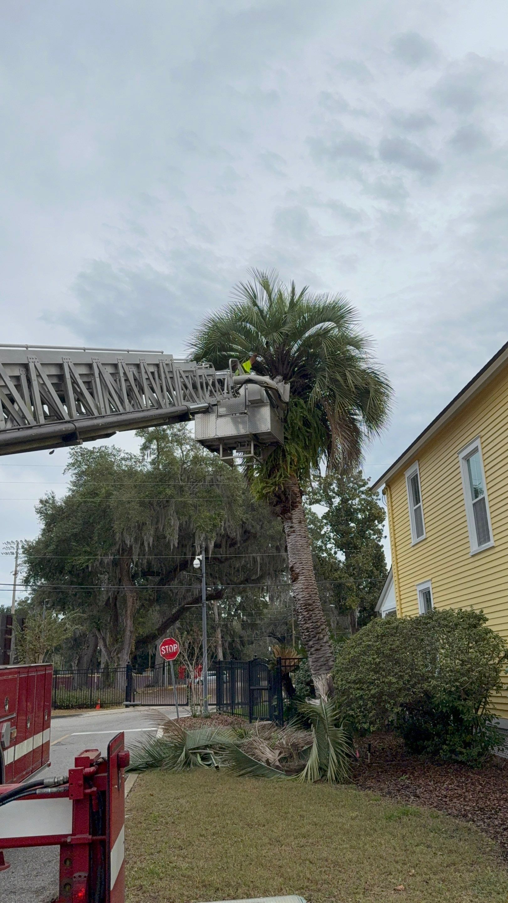 Volunteer Work | Episcopal High School of Jacksonville by ProGreen Services