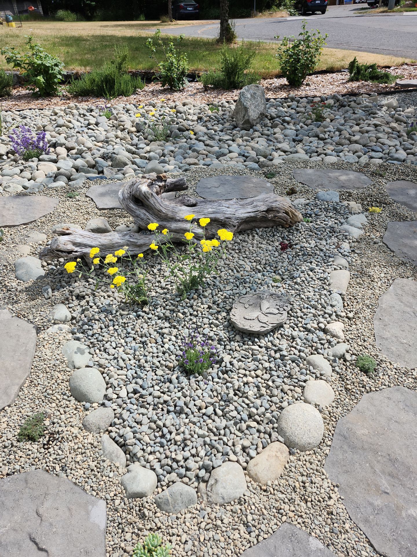 Front Yard Ecological Conversion – A West Coast-Inspired Low-Maintenance Oasis by Habanero Garden and Exterior Care