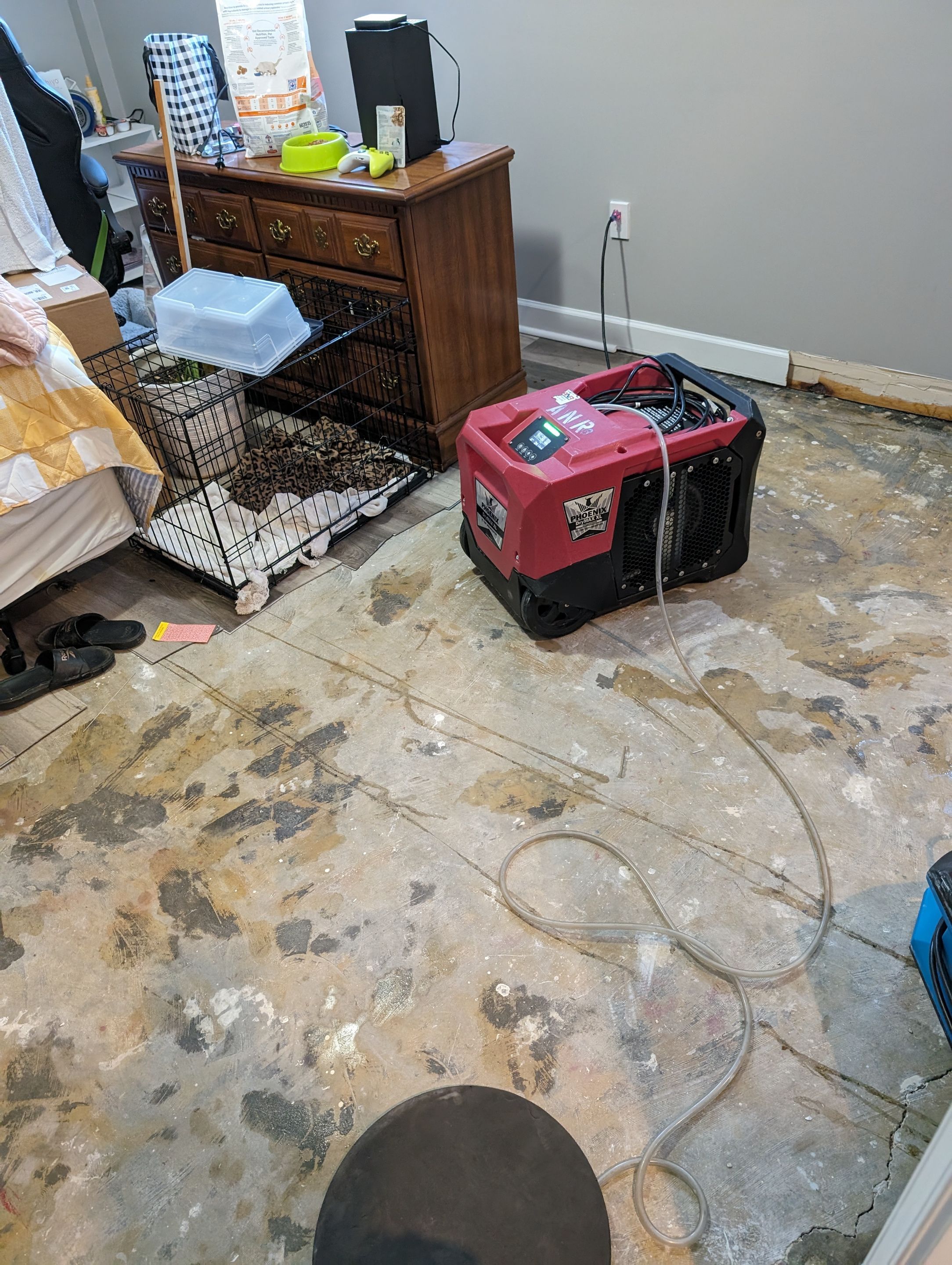 Sewage Cleanup in Louisville, KY by ANR Restoration