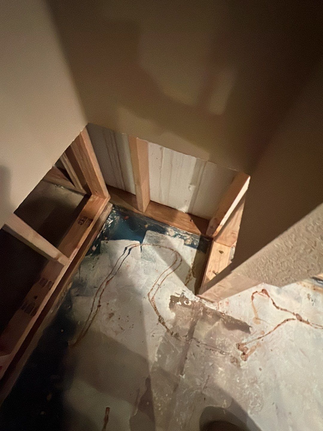 Mold Damage by Accountable Home Services