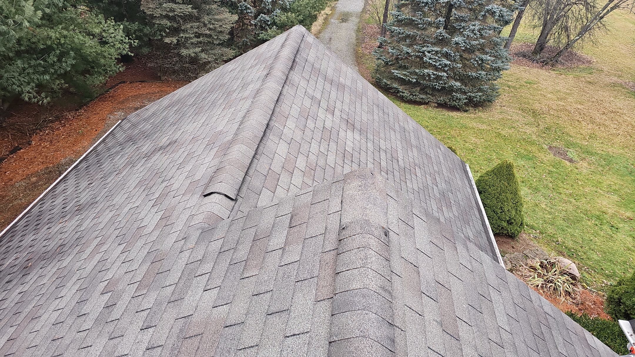 Alpha Rib, Color: Forest Green by Eagle Eye Roofing