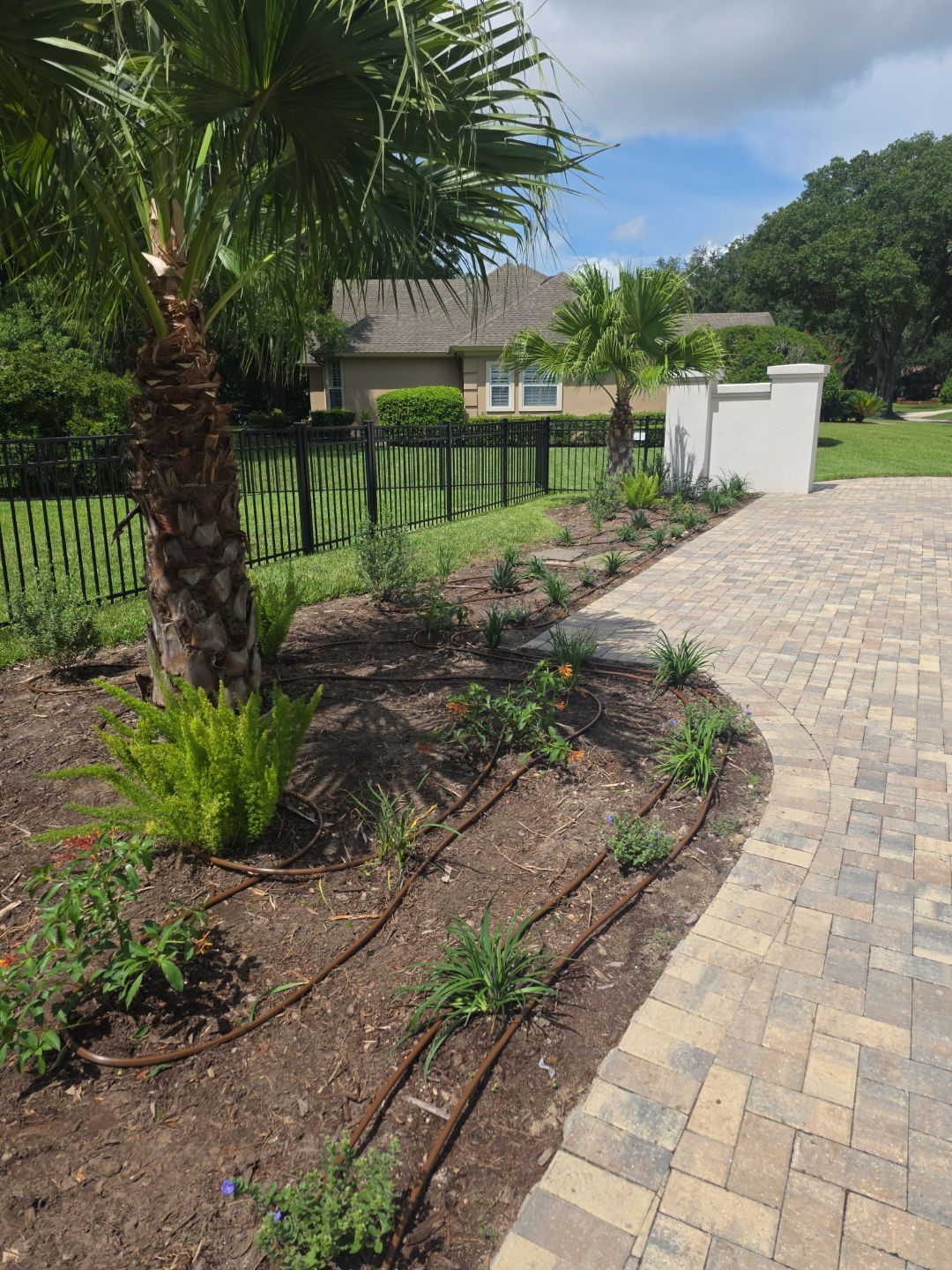 Deerwood Resident | Landscape Update by ProGreen Services