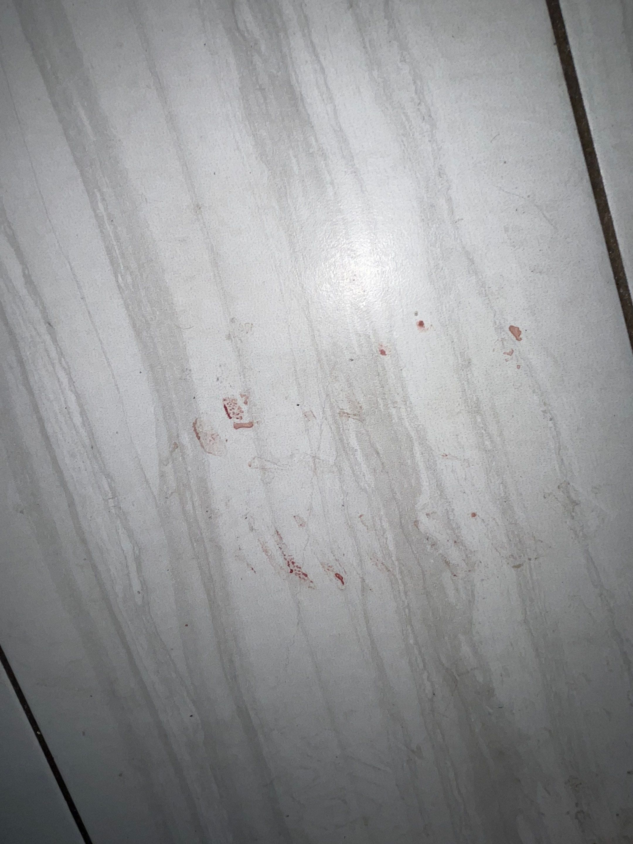 Murder Cleanup / Drug Decontamination in Naples by Sadie’s Pro Cleaning