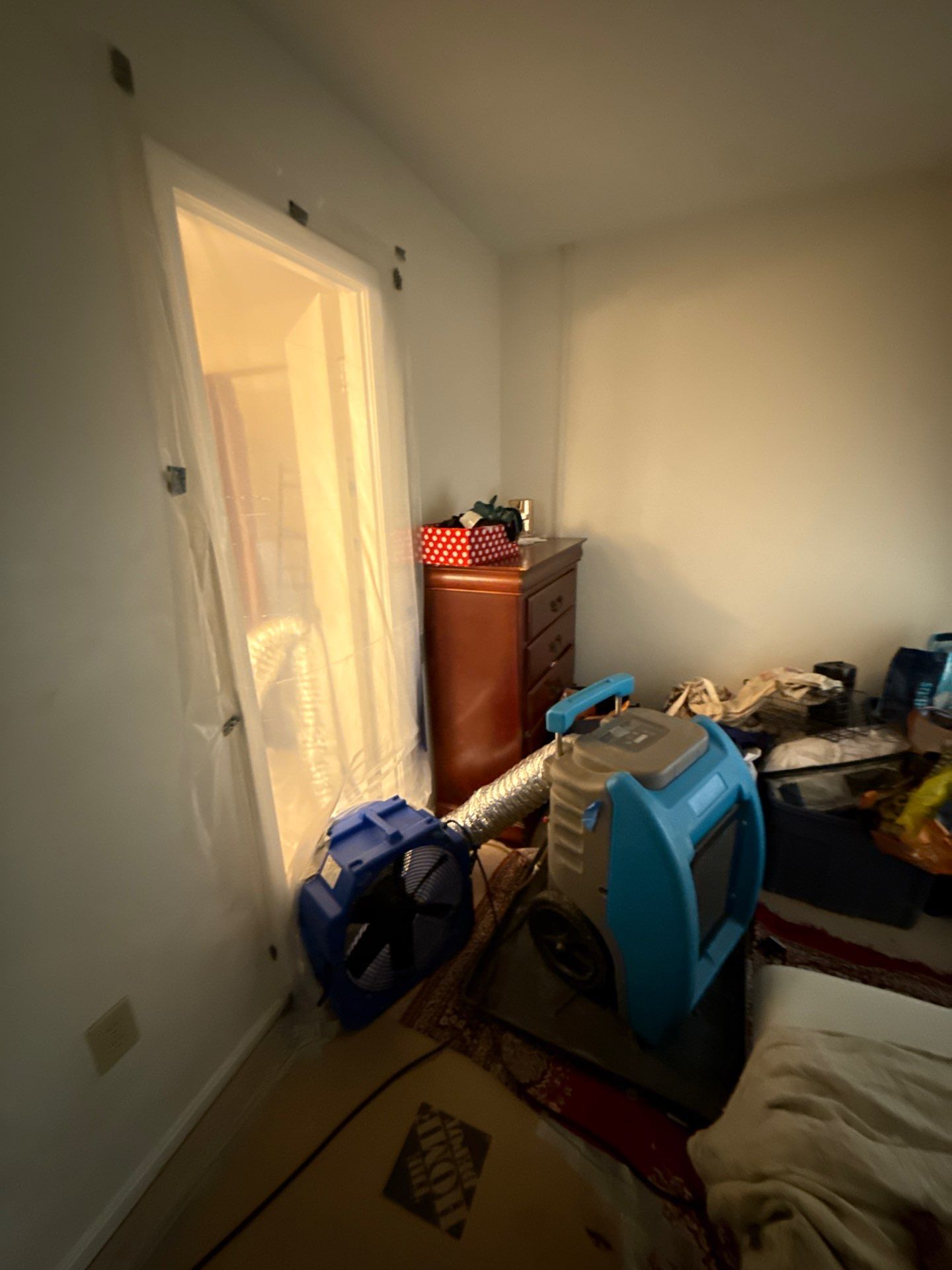 Project in Springfield by Restoration Doctor