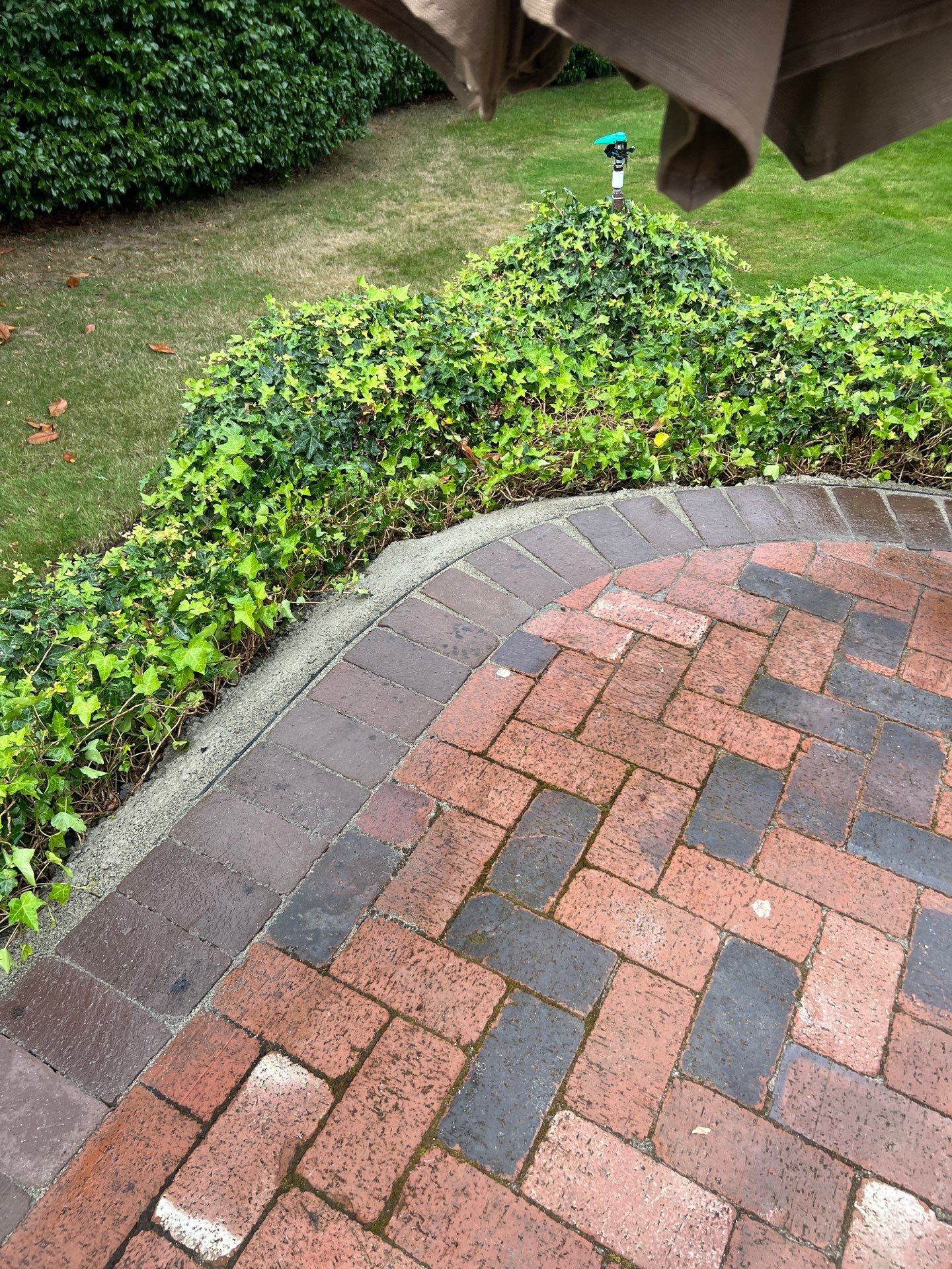 Edmonds Brick Patio Renovation by Jireh Asphalt & Concrete Inc 