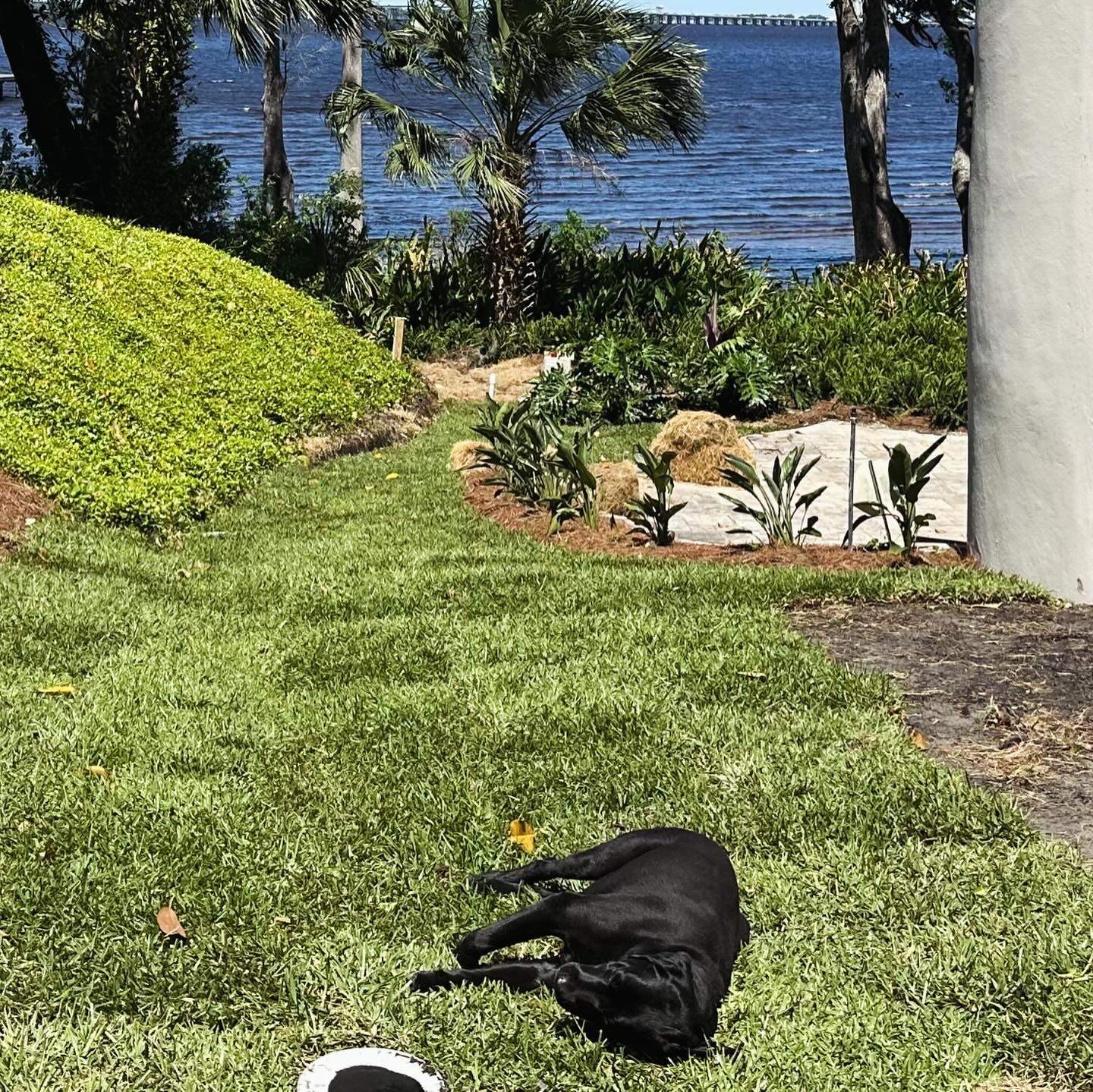 Landscape Install | Residence by ProGreen Services