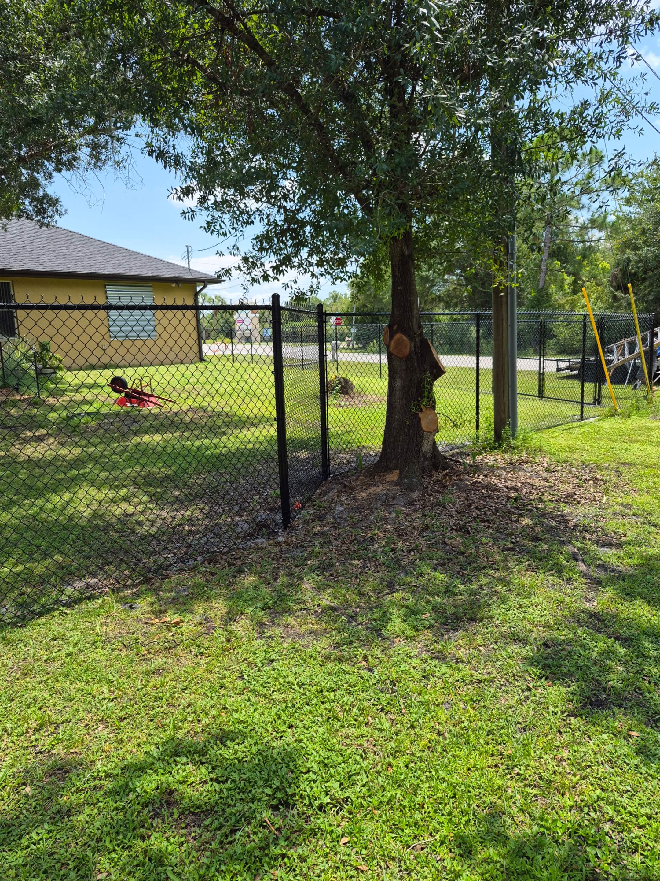 Black Chain Link Perimeter Fencing with Double Gates in Port Charlotte by True Fence LLC