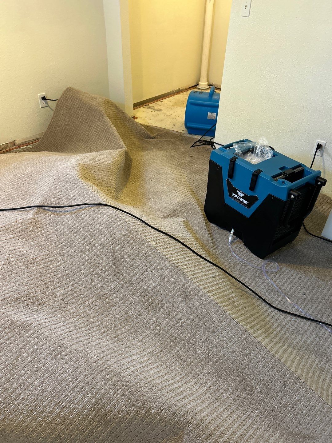 Mold Remediation by Accountable Home Services