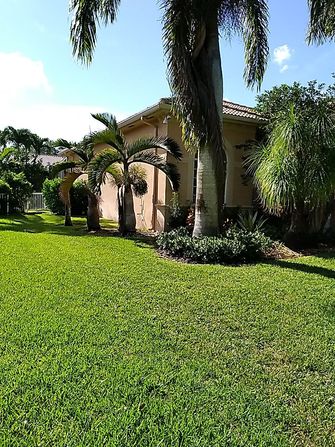 Concrete Tile Roof Leak Repair and Wood Decking Replacement in Parkland by Aastro Roofing
